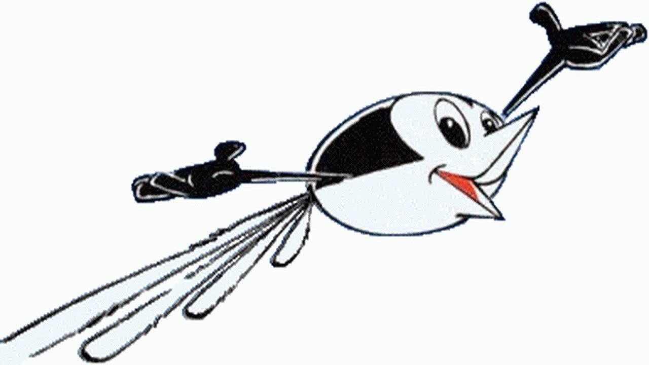 Wattoo Wattoo Super Bird Background