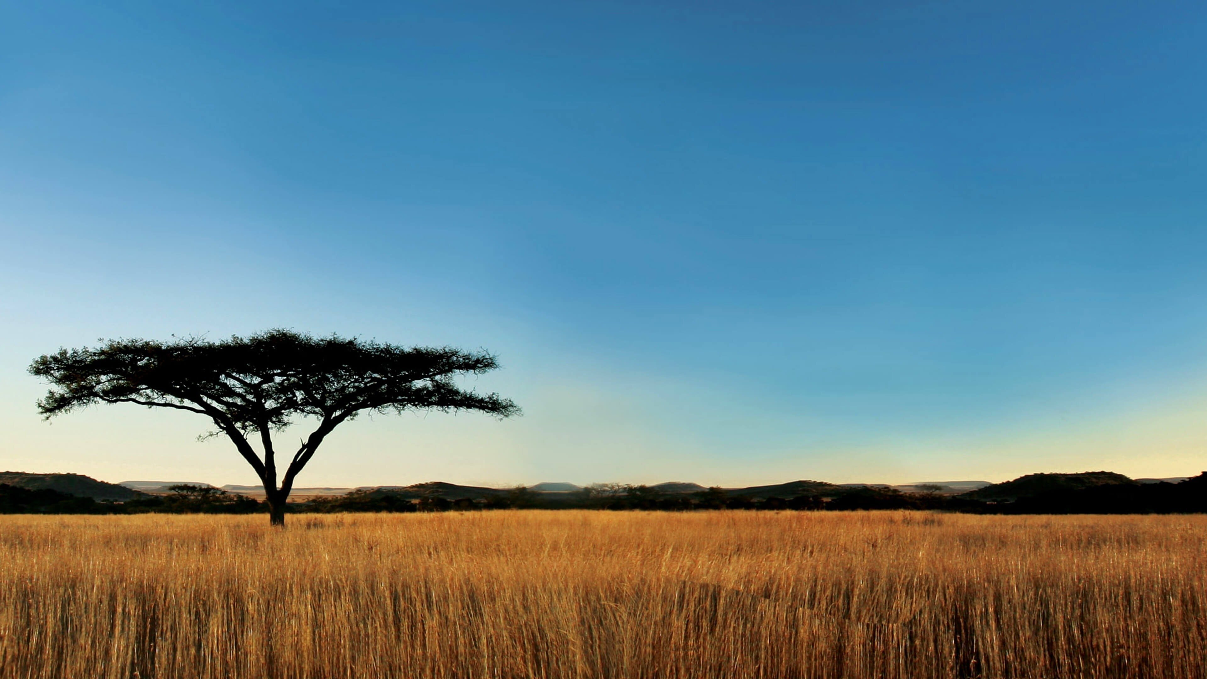 Nature Background