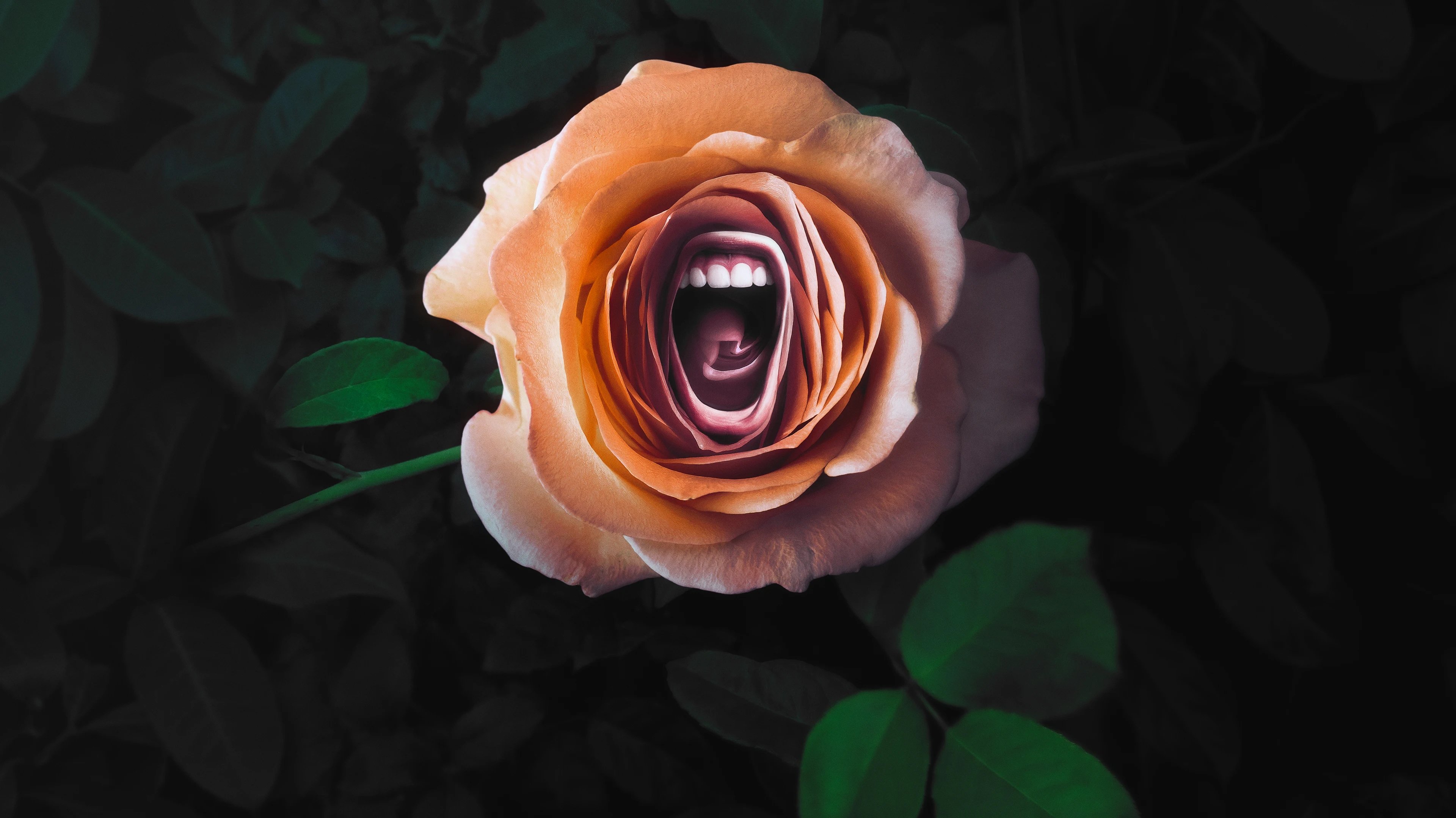 Roar Background