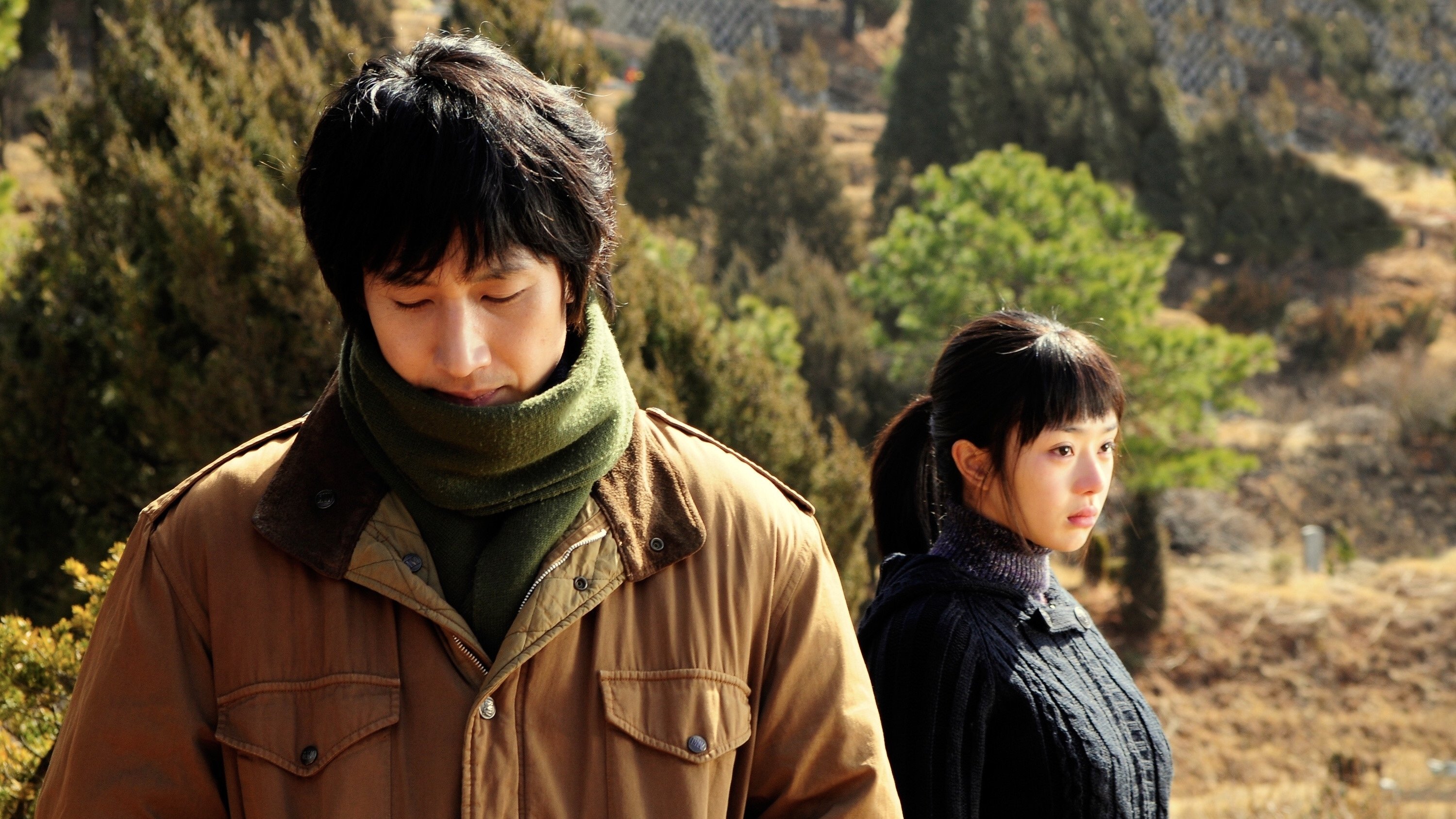 Paju Background
