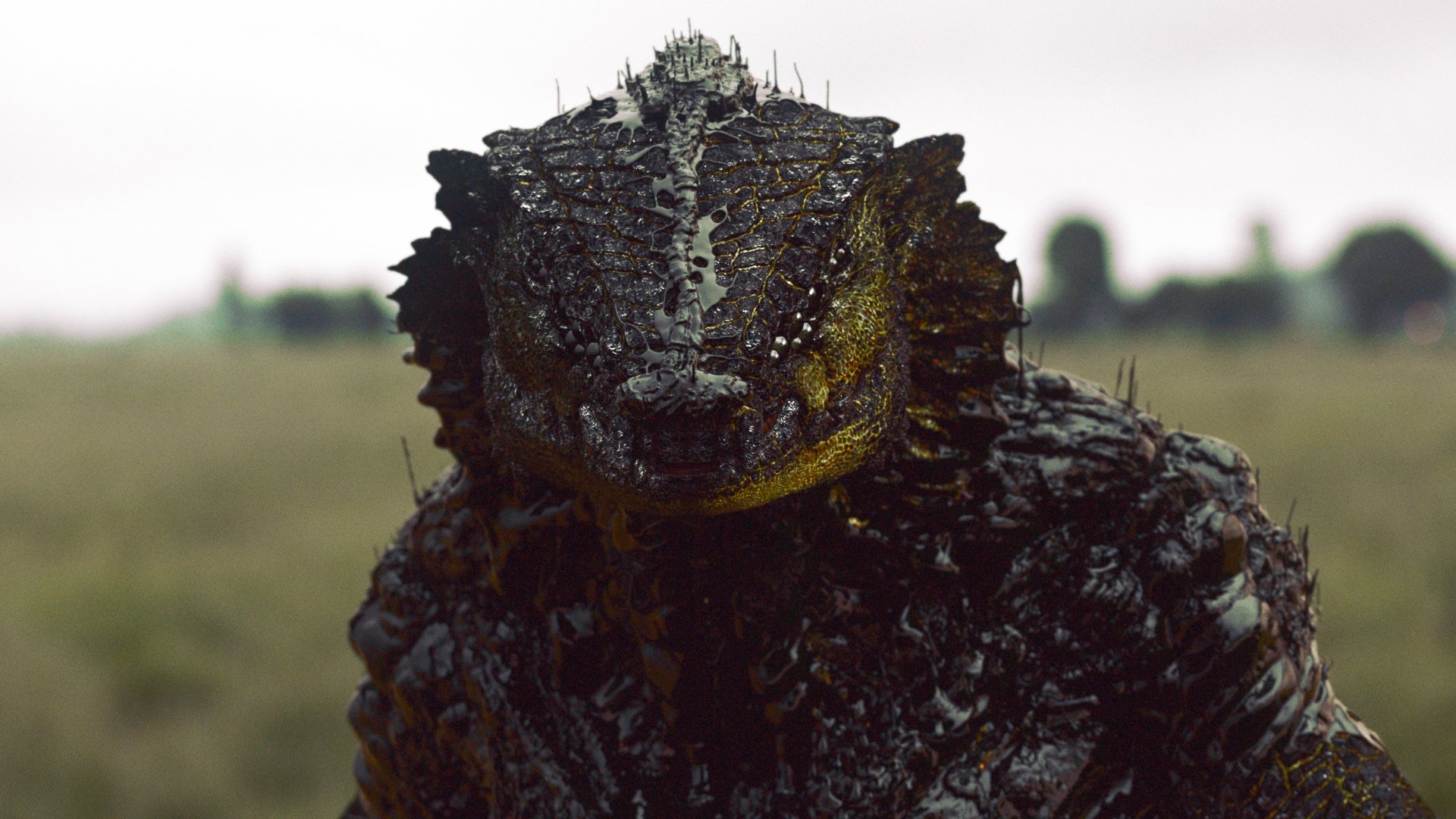 Oats Studios: Volume 1 Background