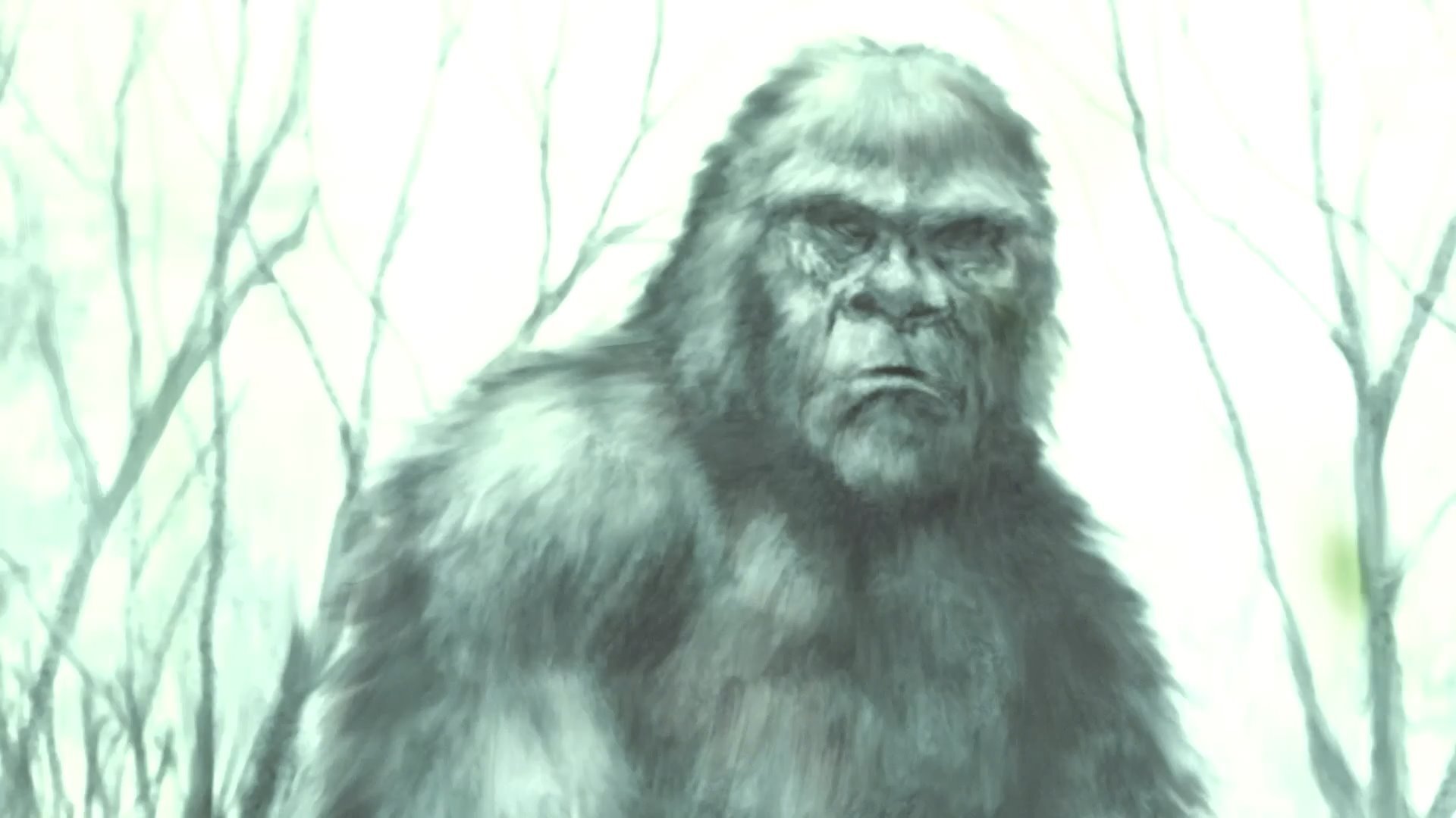 Boggy Creek Monster Background