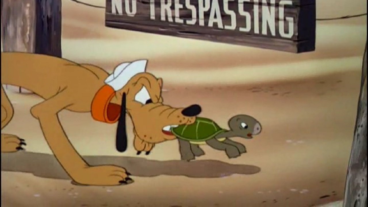 Canine Patrol Background