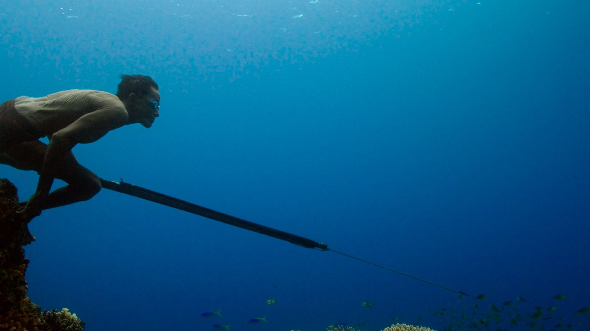 Jago: A Life Underwater Background