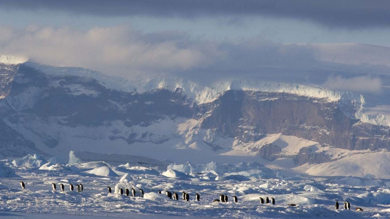 March of the Penguins 2: The Next Step Background