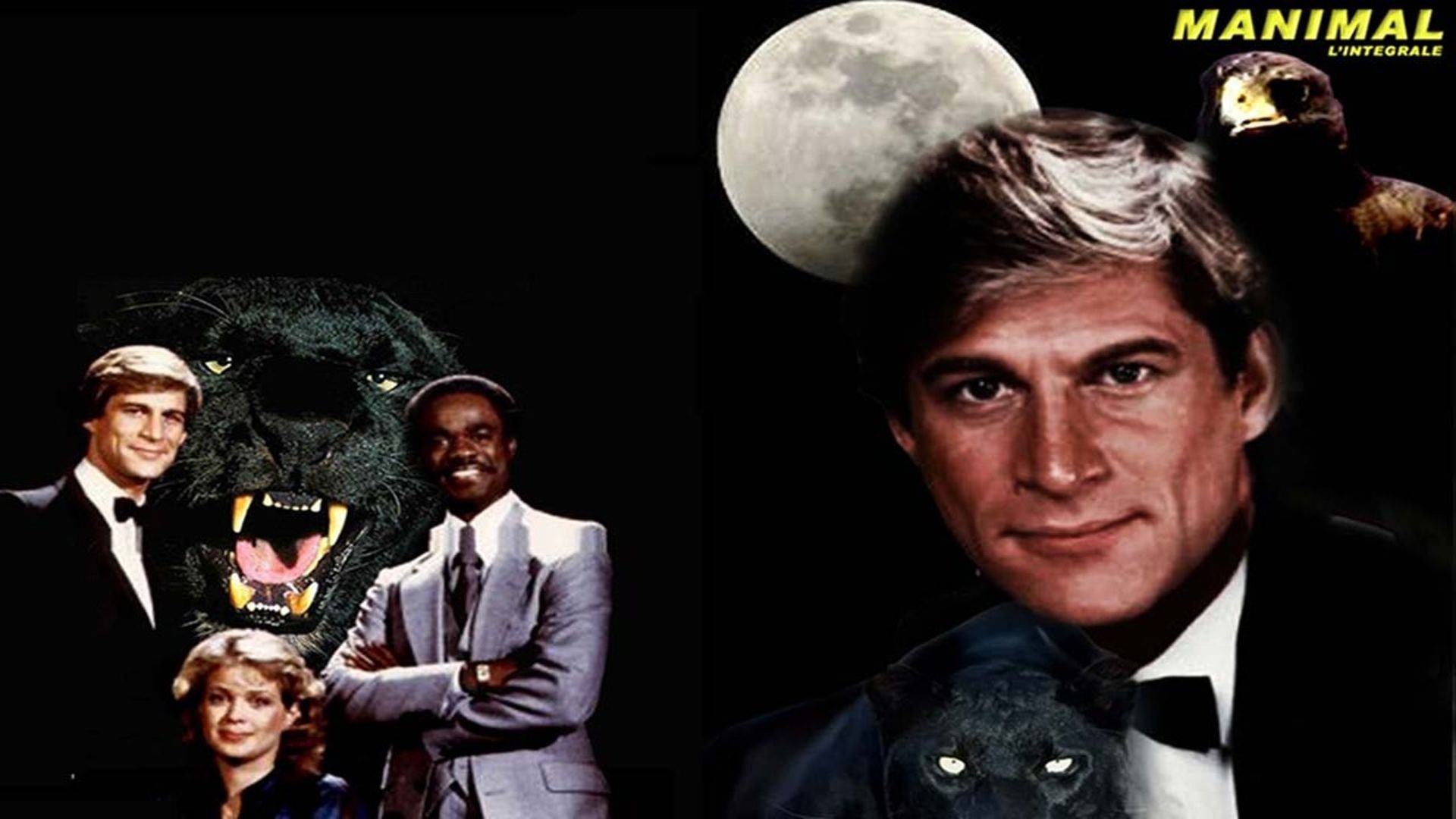 Manimal Background