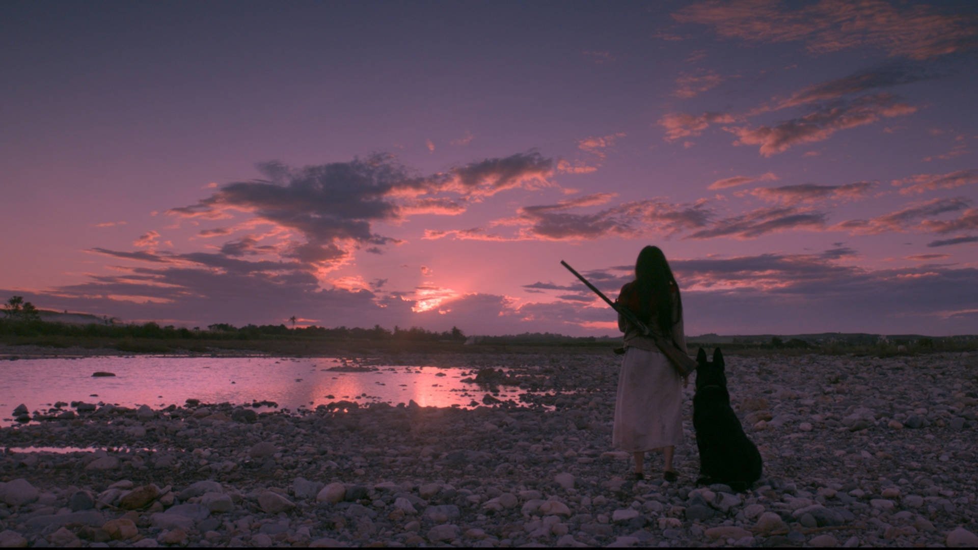 Birdshot Background