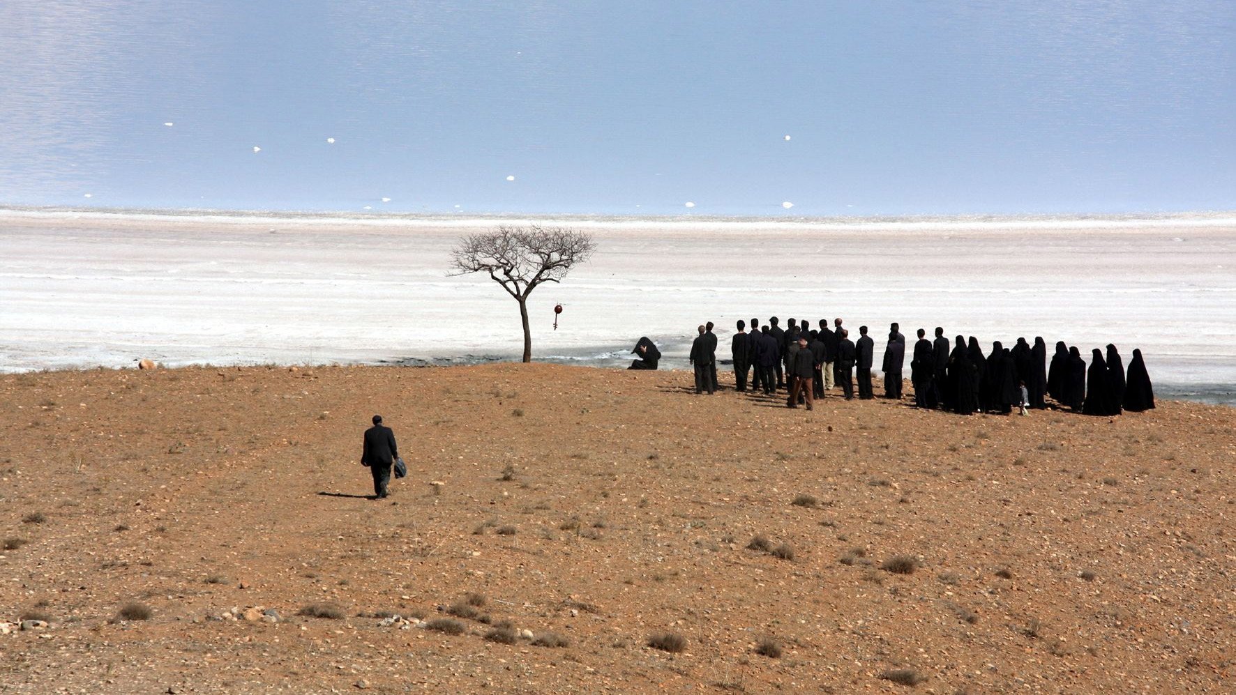 The White Meadows Background