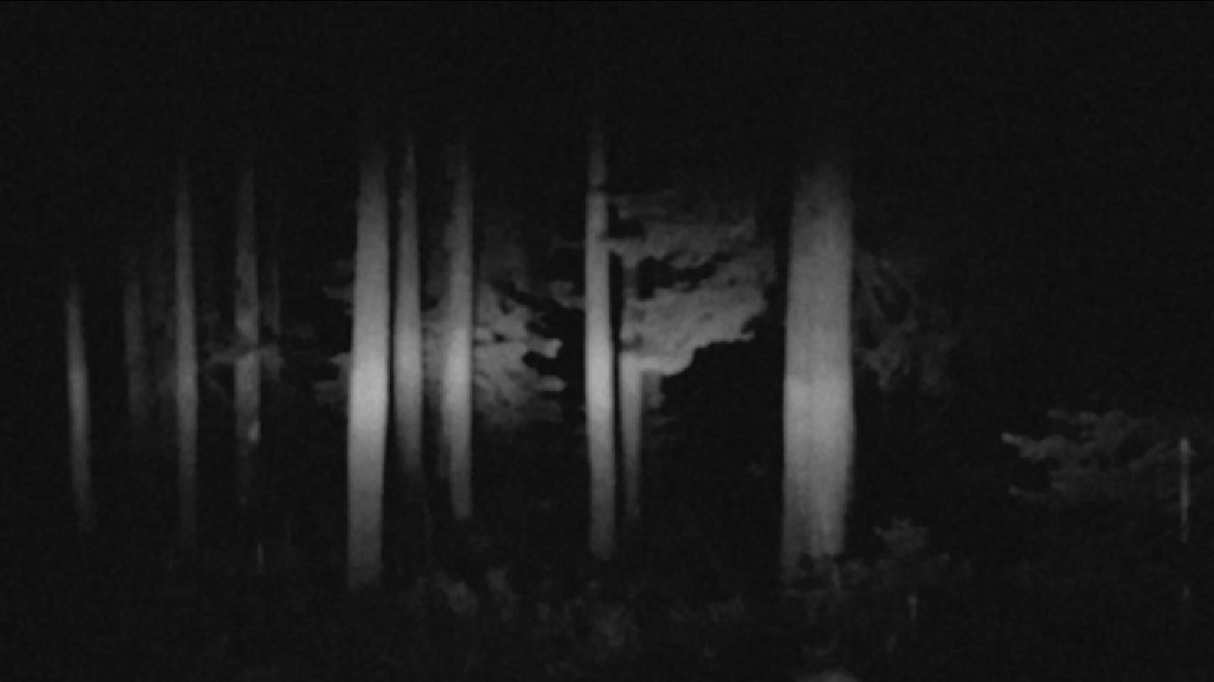 Dream Static Background