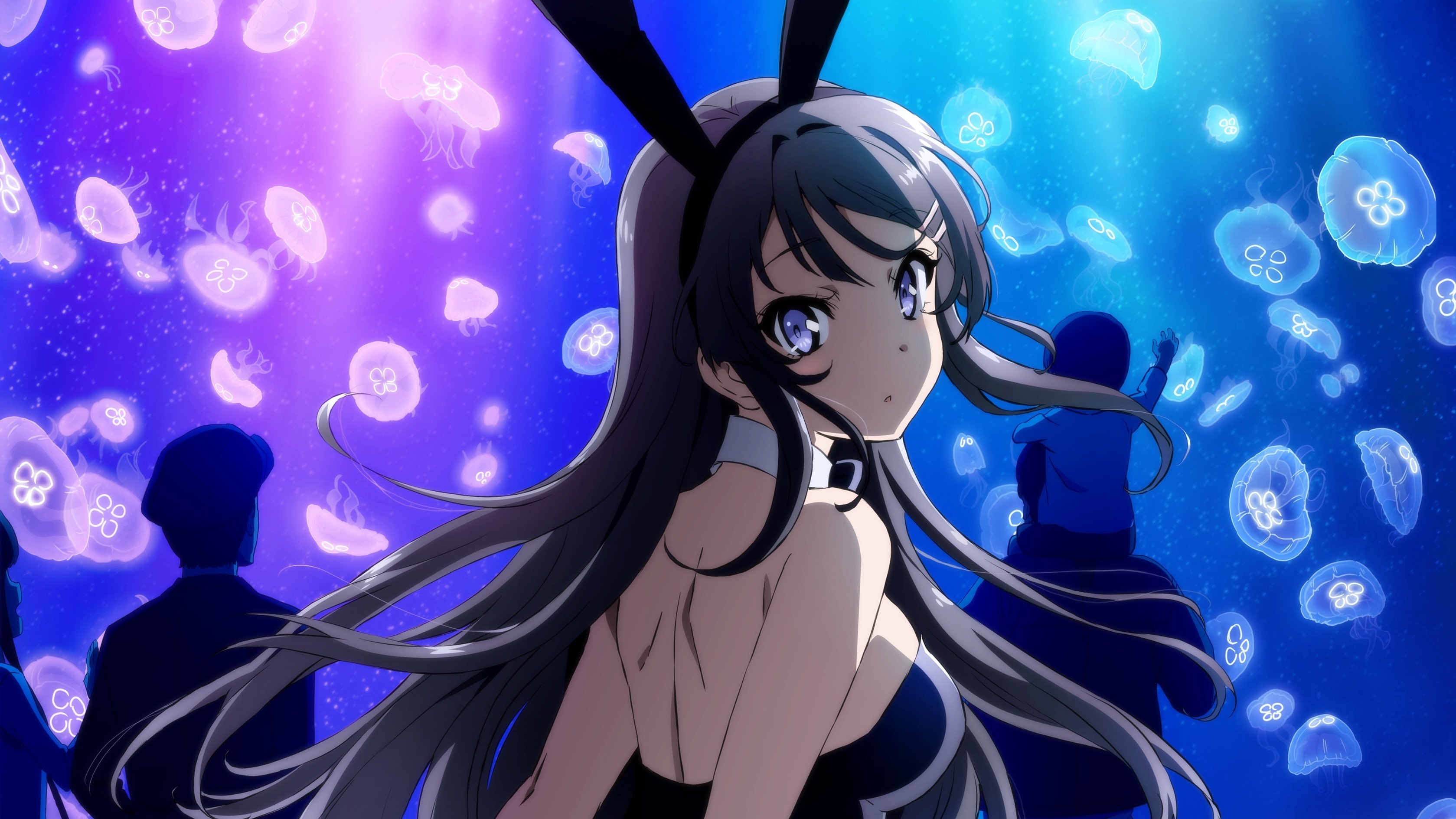 Rascal Does Not Dream of Bunny Girl Senpai Background
