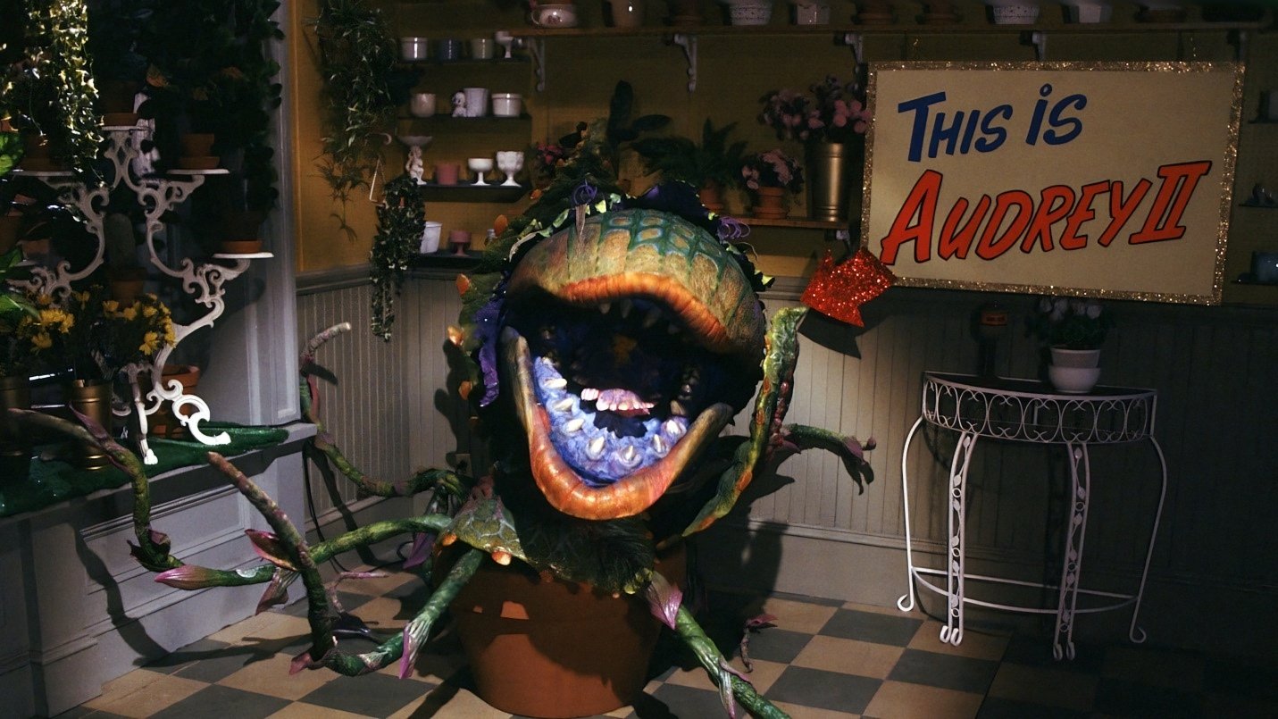 Little Shop of Horrors Background