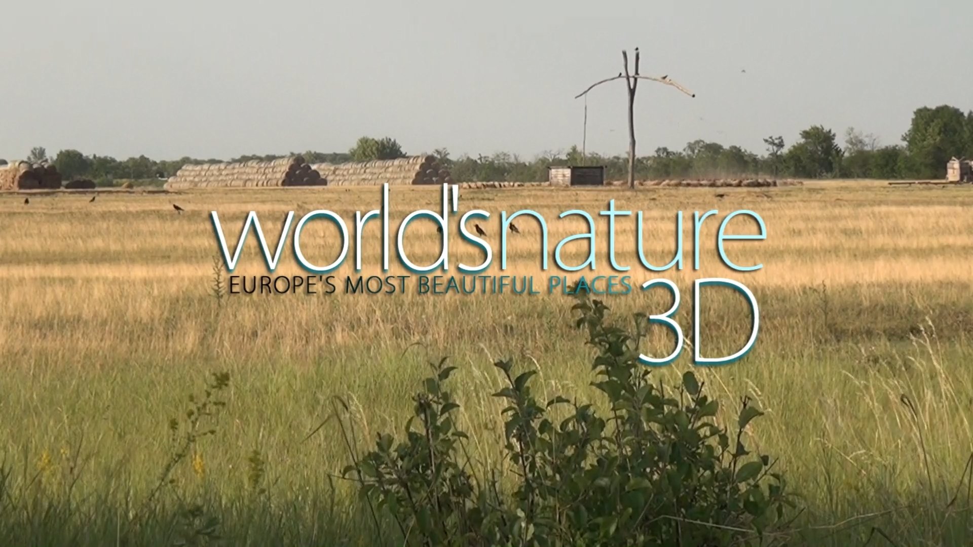 World's Nature 3D Background