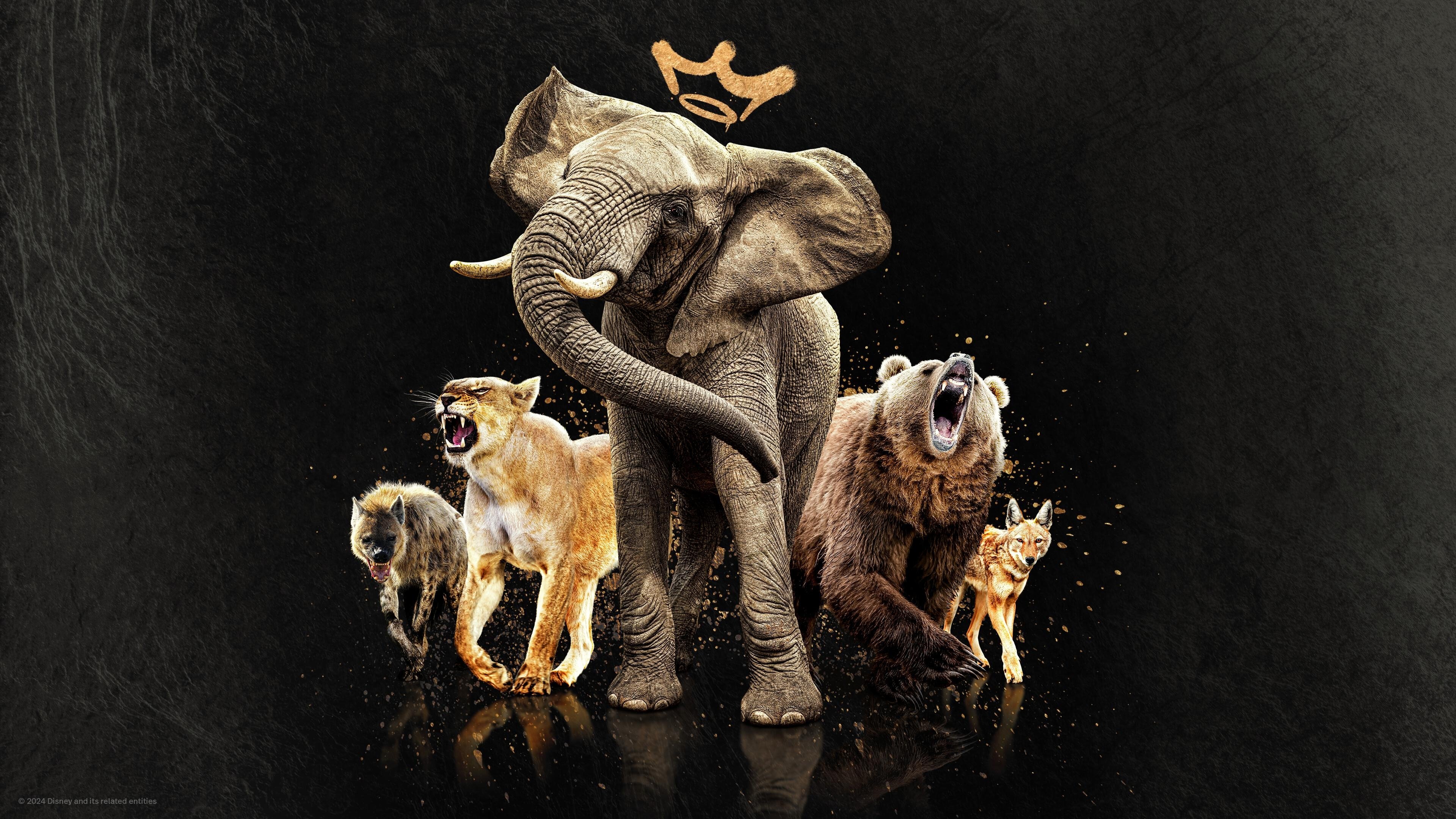 Queens Background