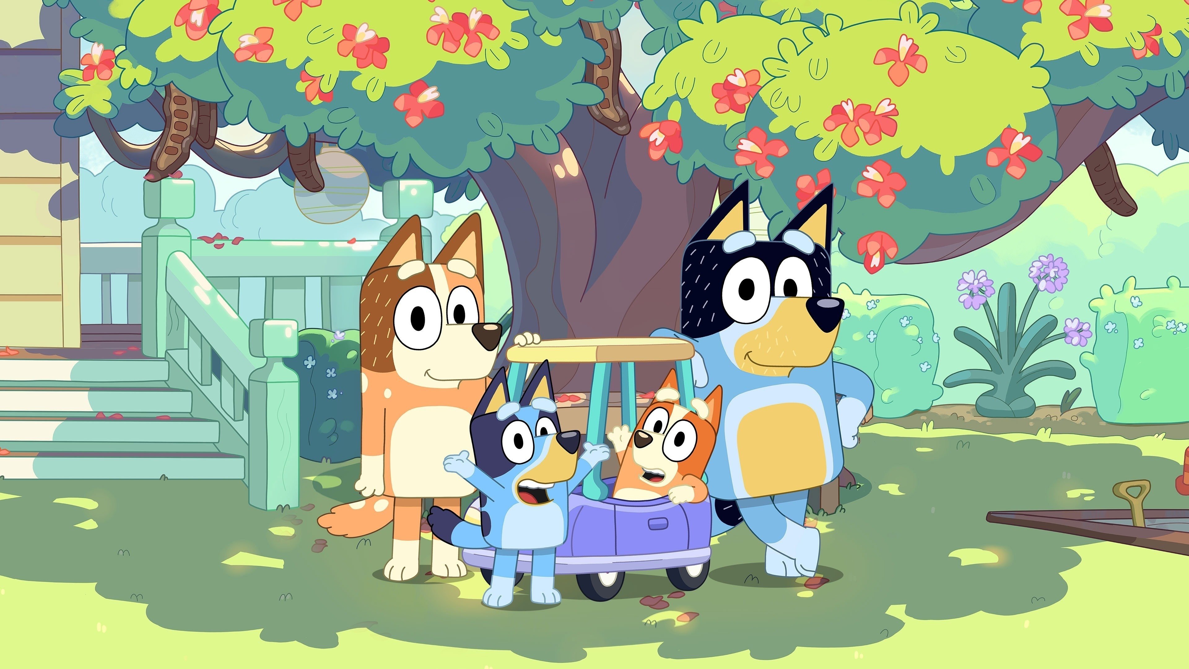 Bluey Background