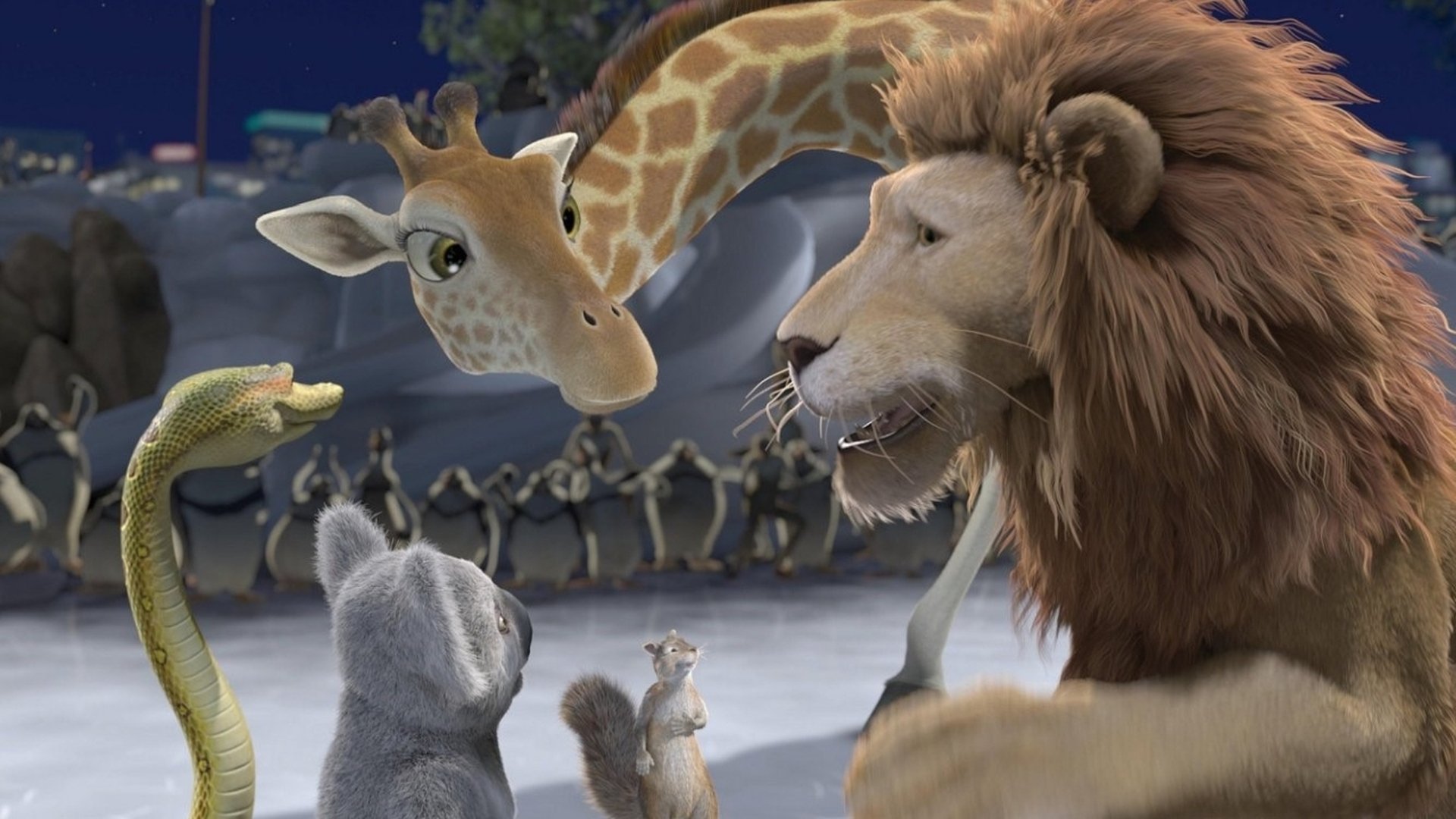 The Wild Background