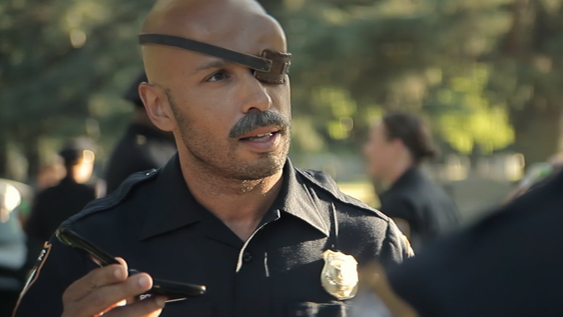 Wrong Cops, The Series Background