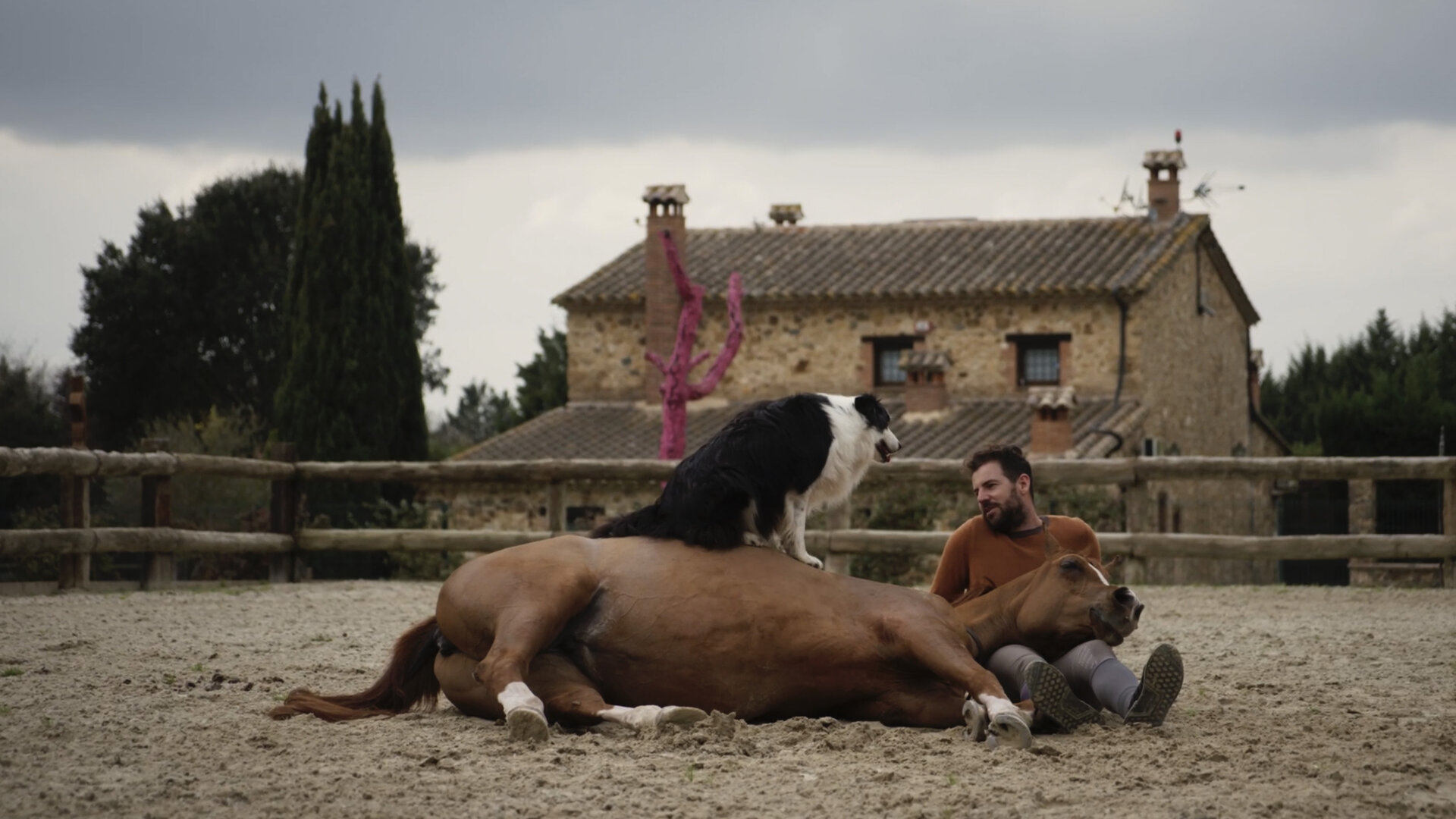 Hermano caballo Background