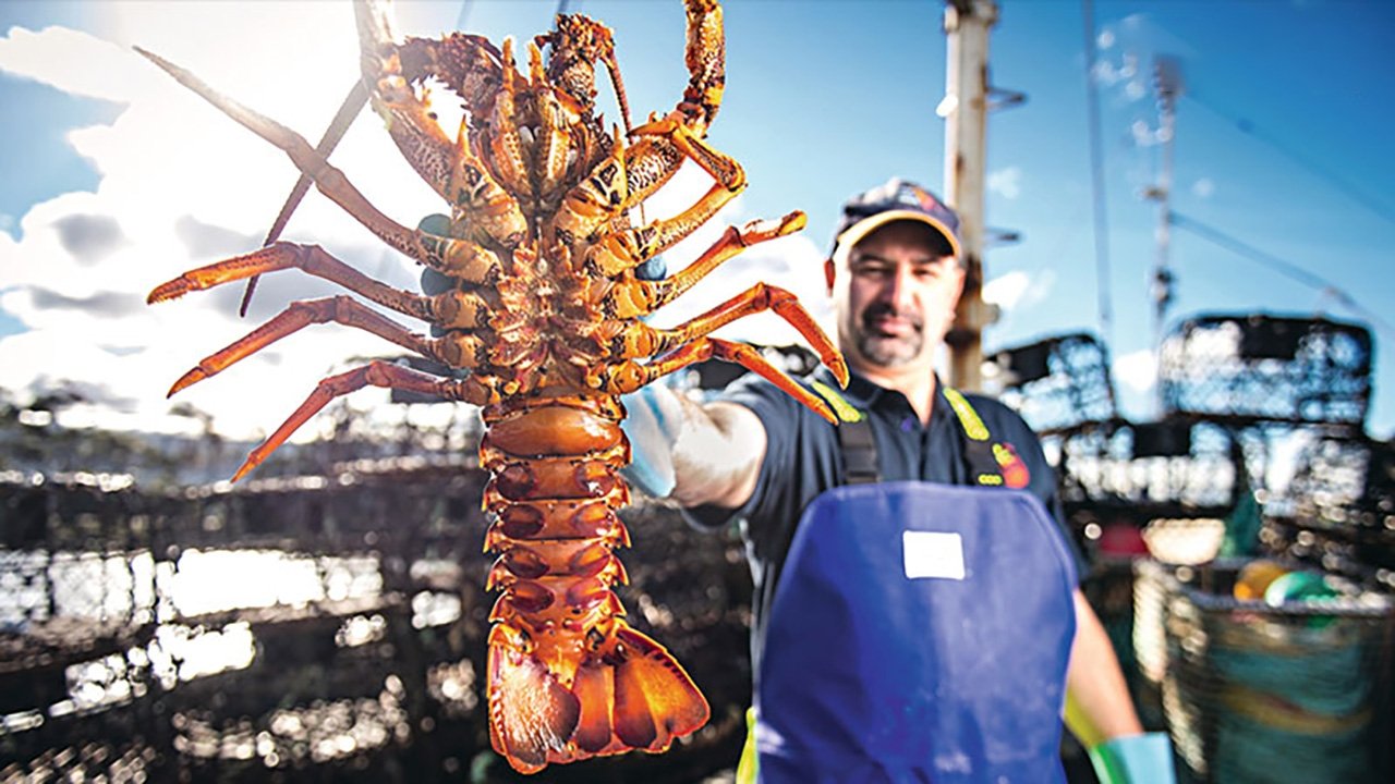 Aussie Lobster Men Background