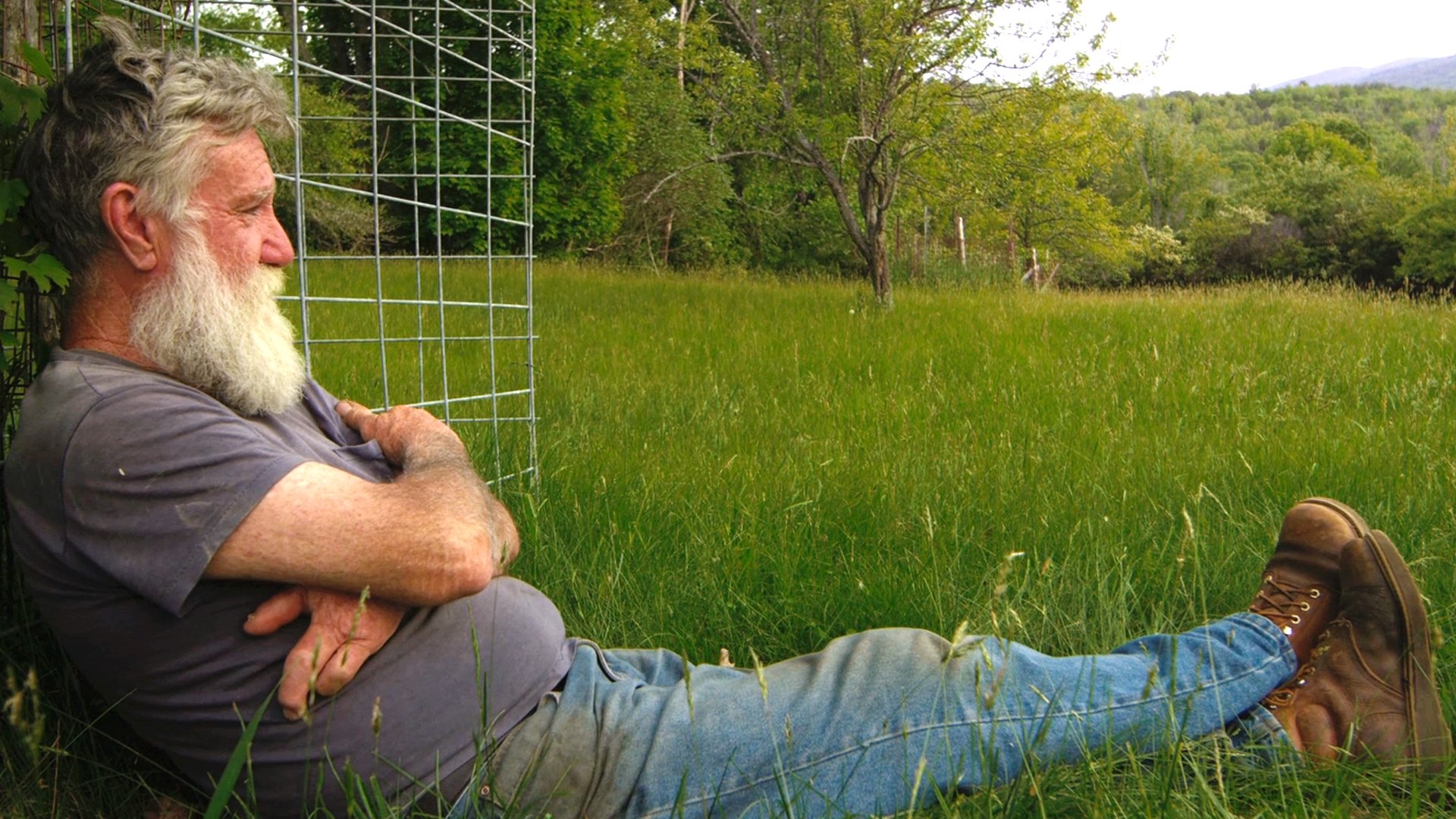 Peter and the Farm Background