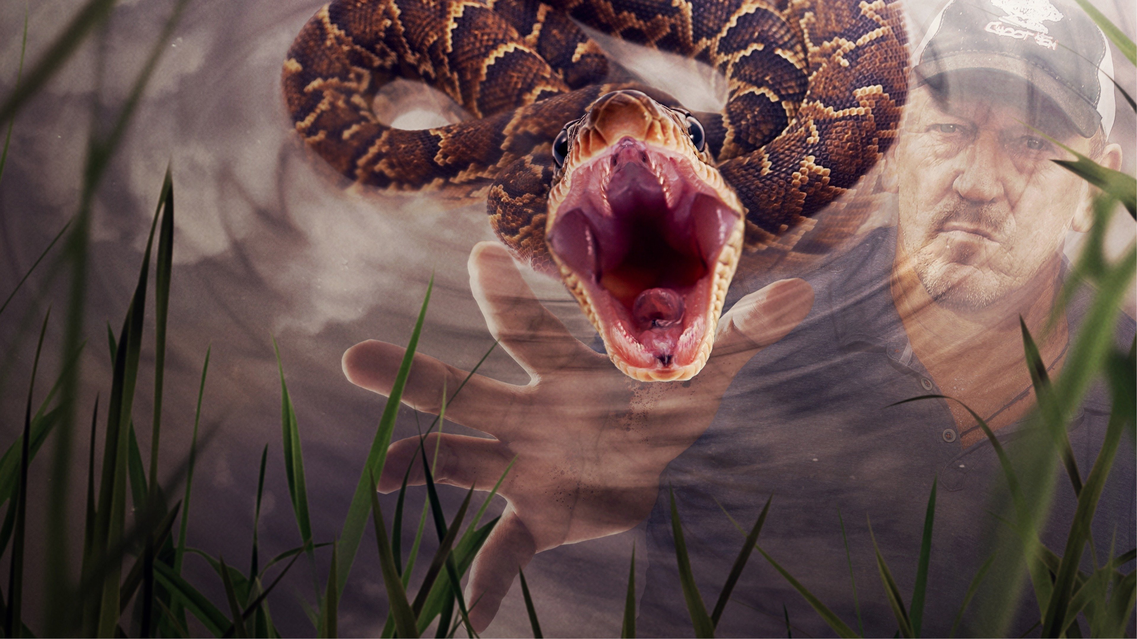 Swamp People: Serpent Invasion Background