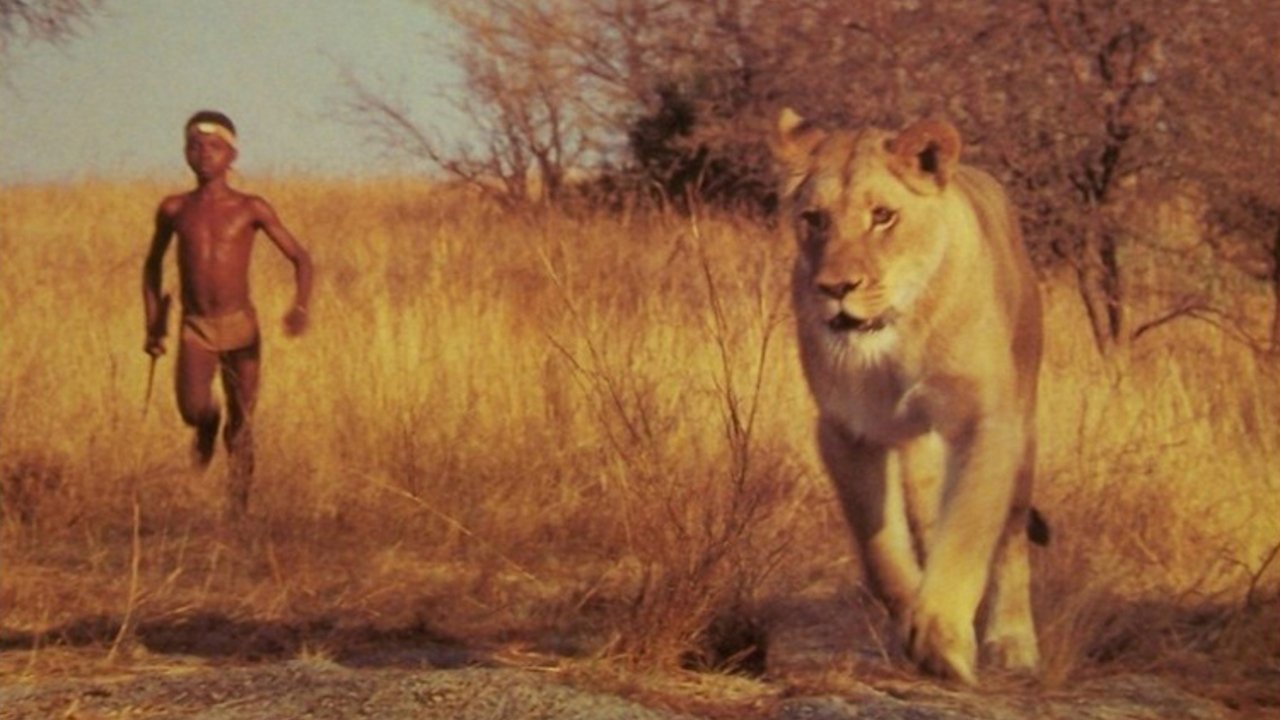 The Lion Child Background