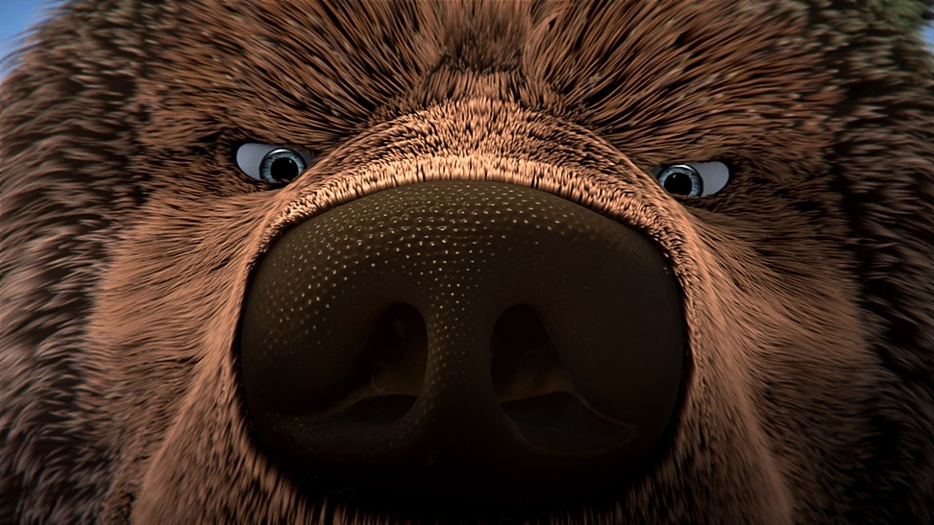 The Great Bear Background