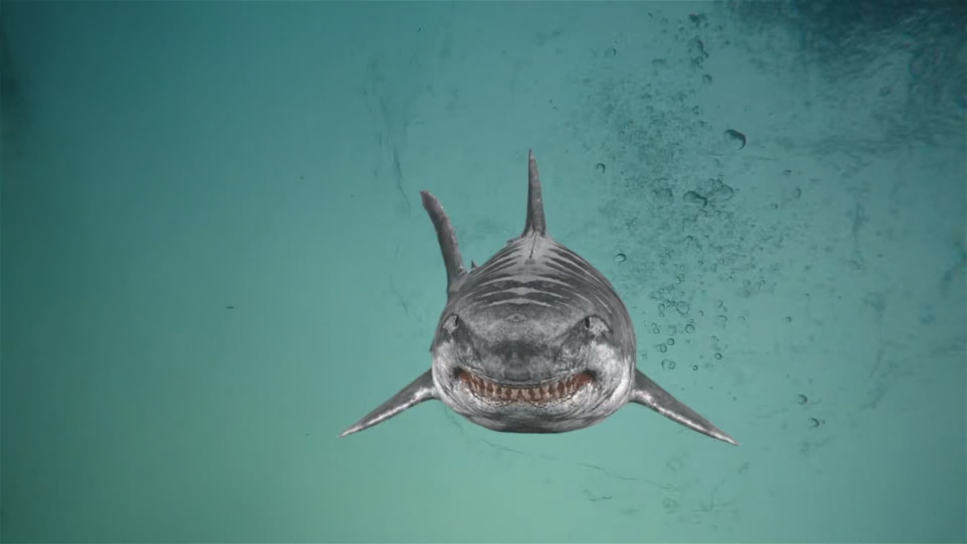 Jurassic Shark 2: Aquapocalypse Background