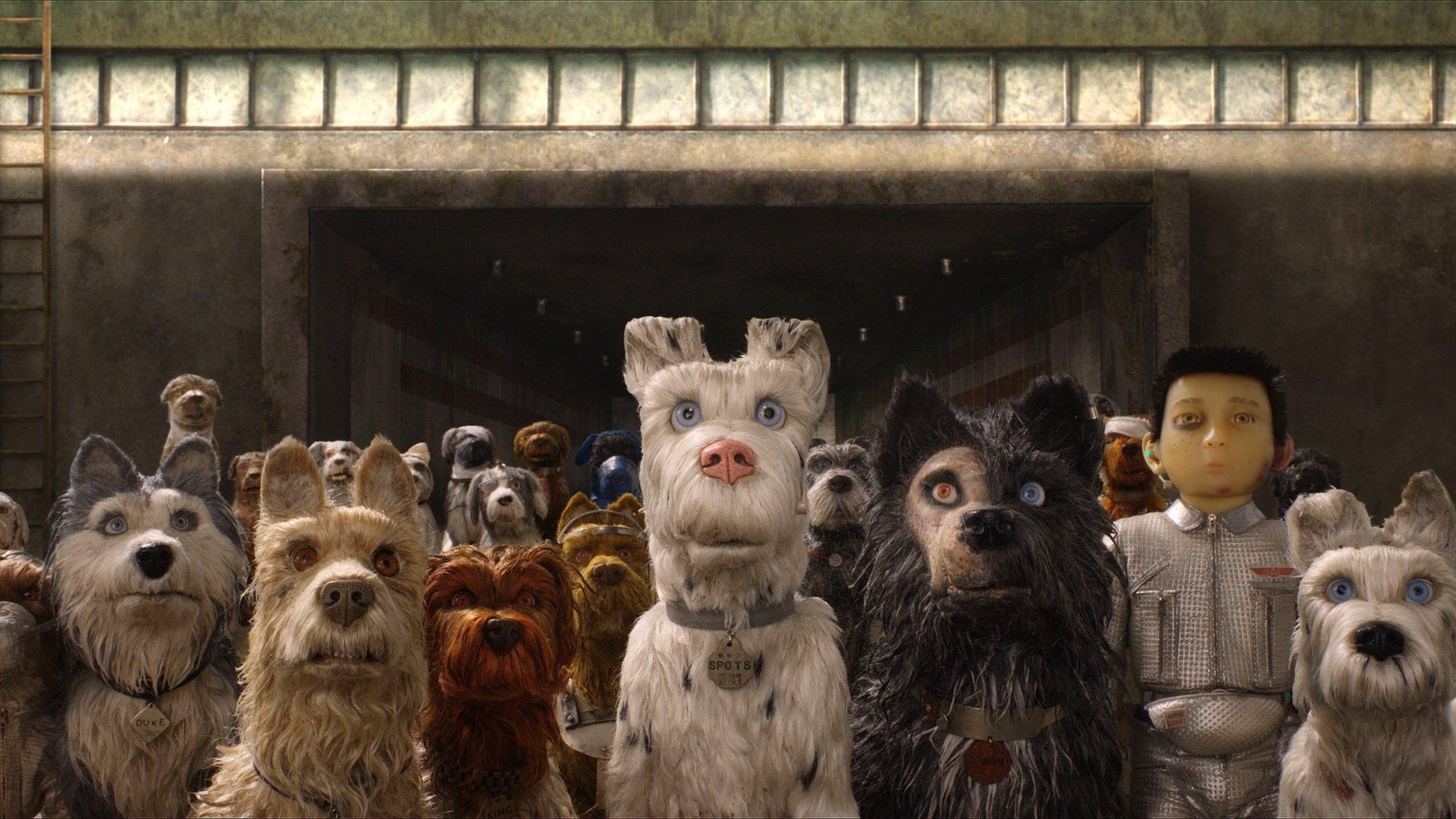 Isle of Dogs Background