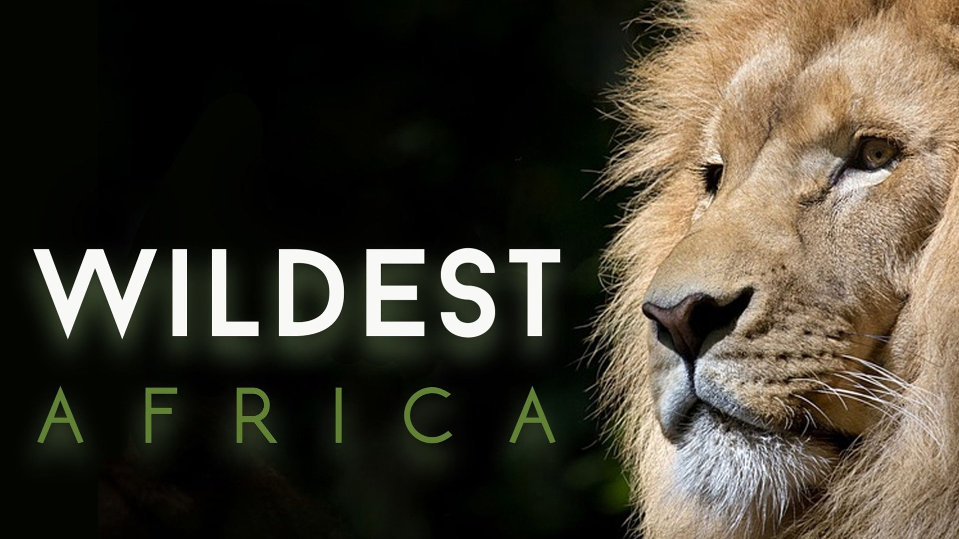 Wildest Africa Background