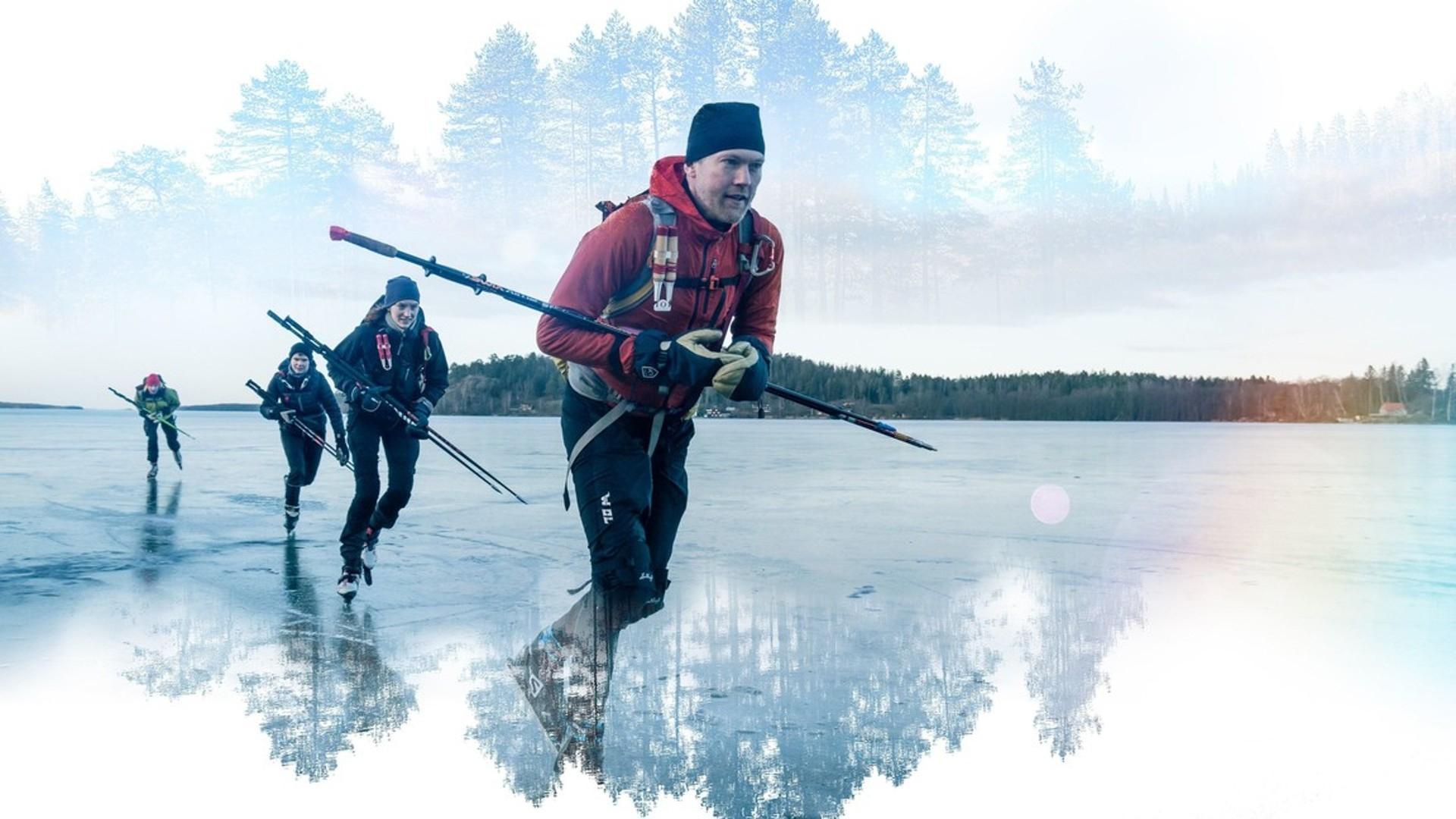 Wild Scandinavia Background