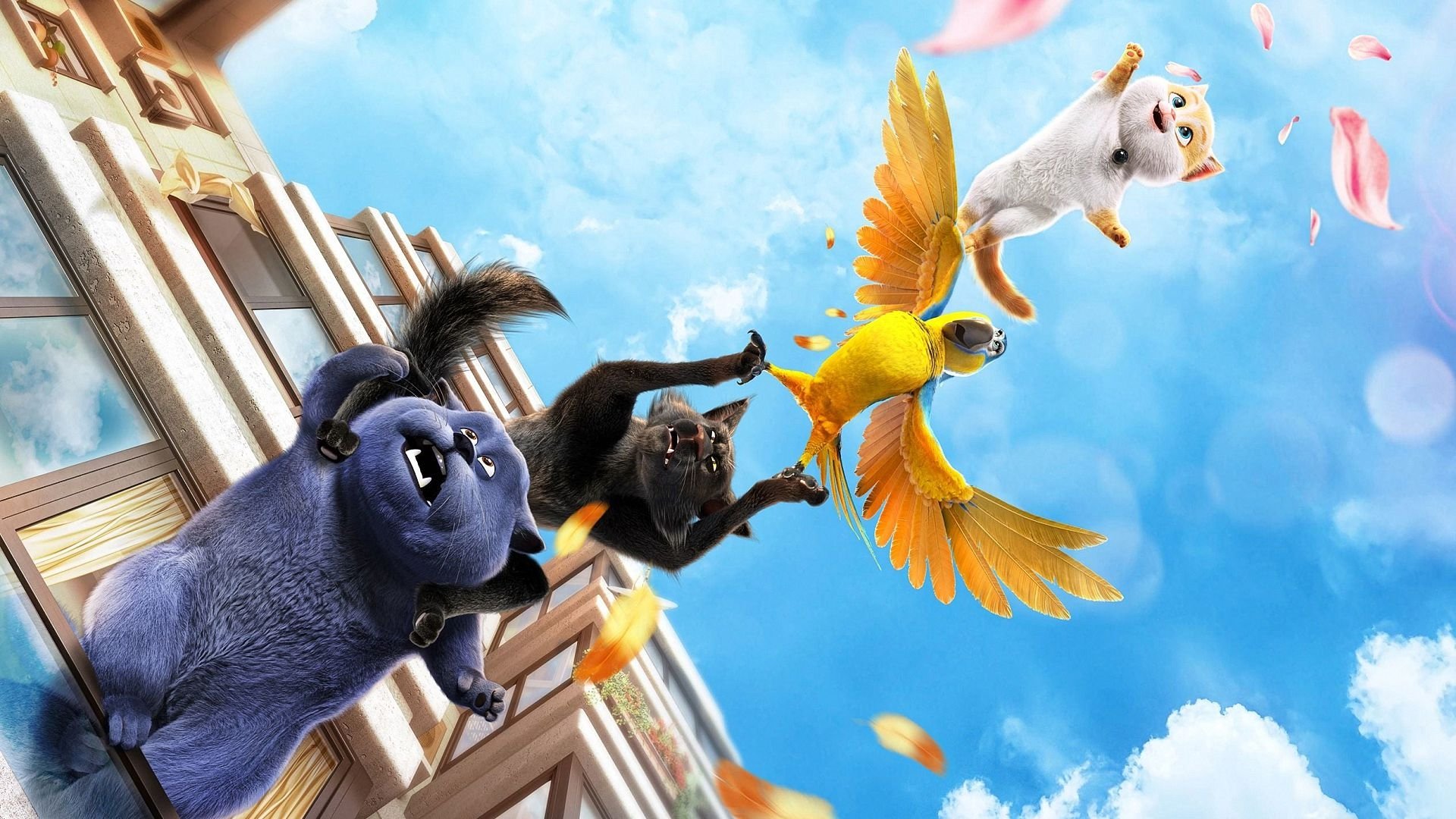Cats Background