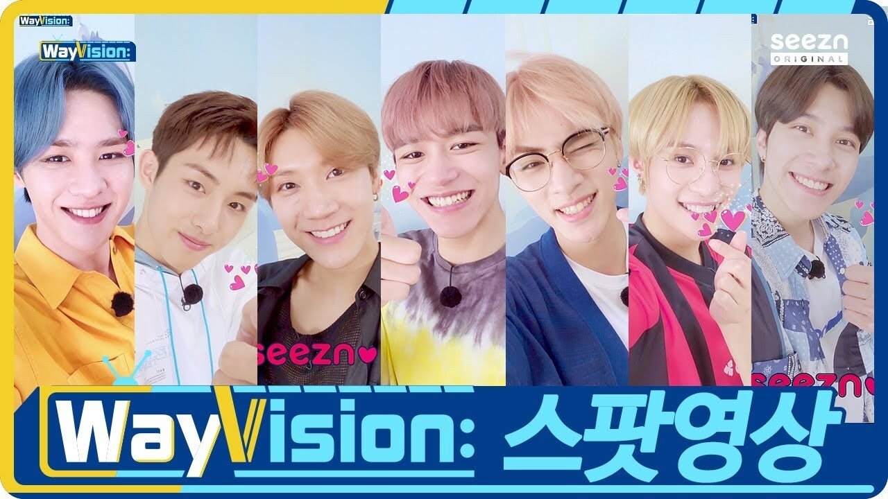WayVision Background