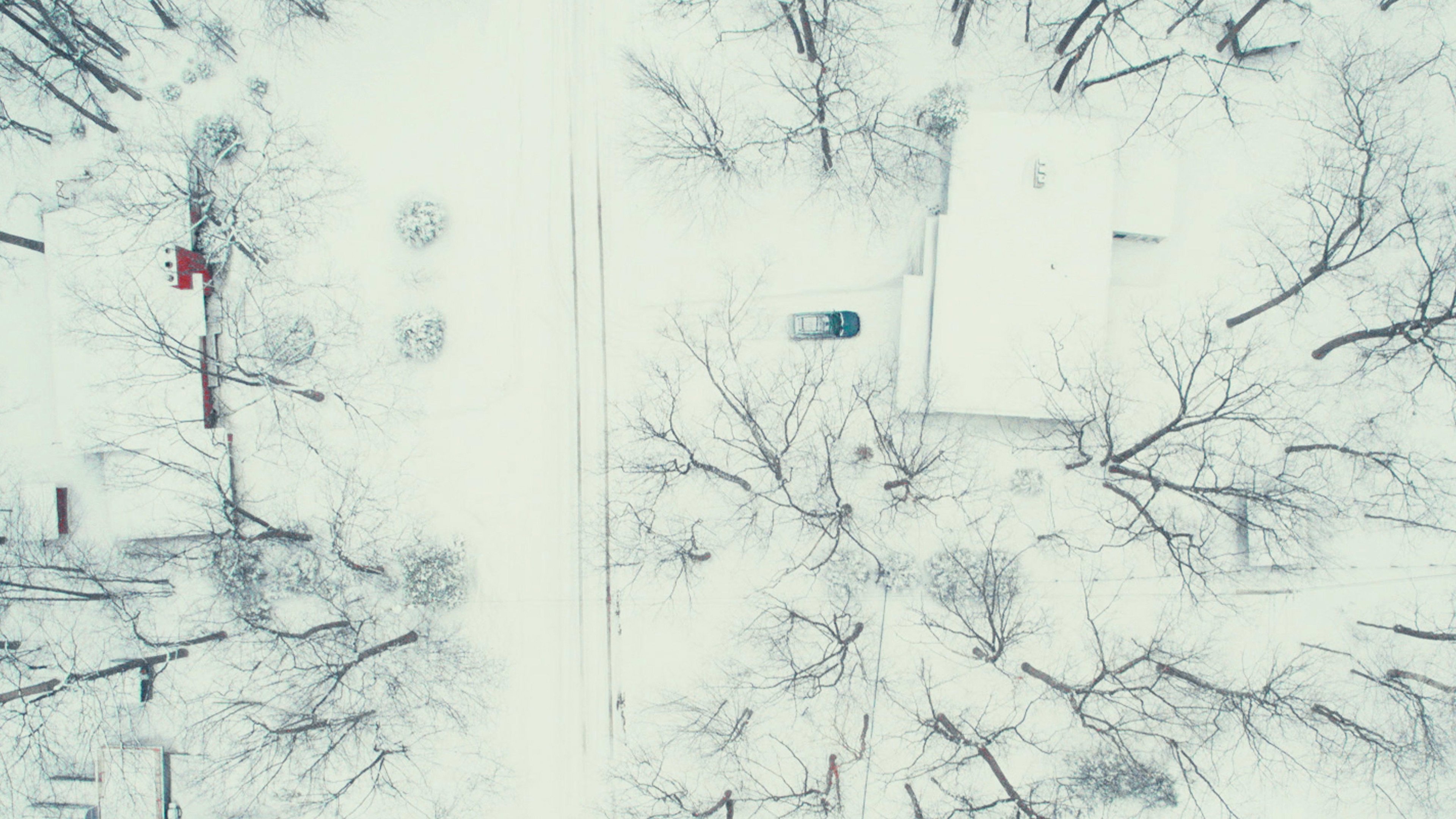 Dead of Winter Background