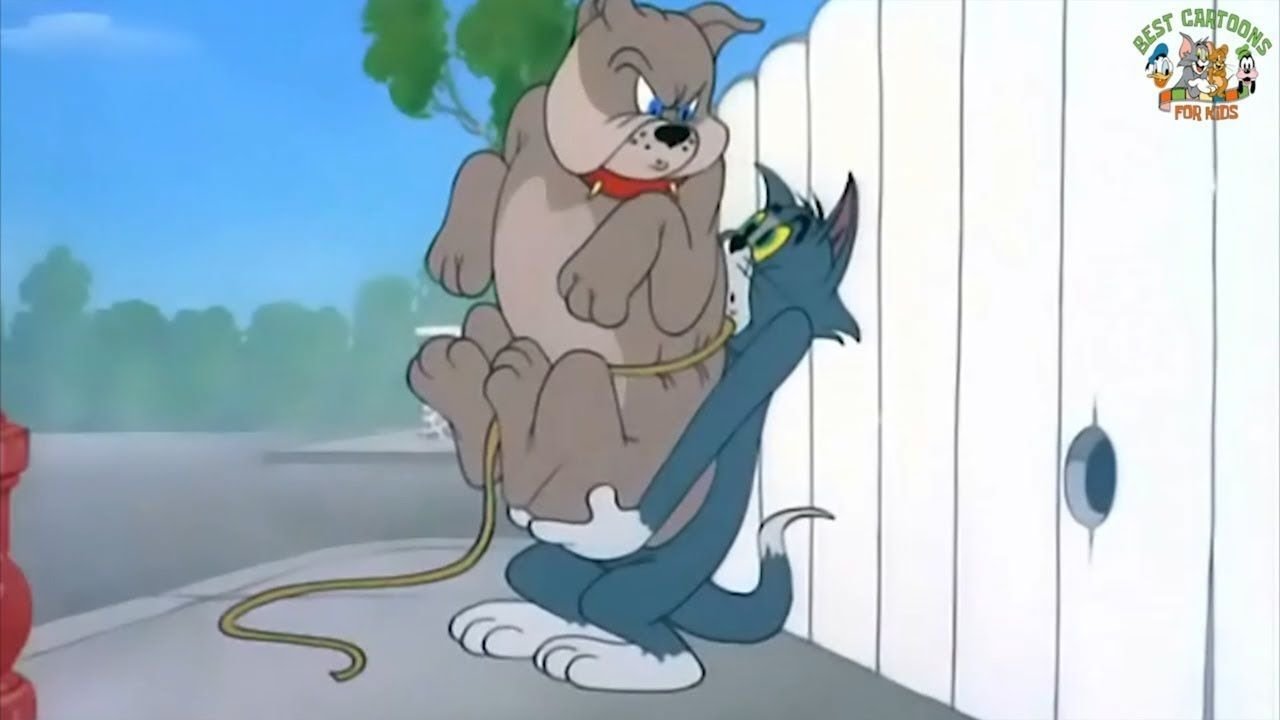 The Dog House Background