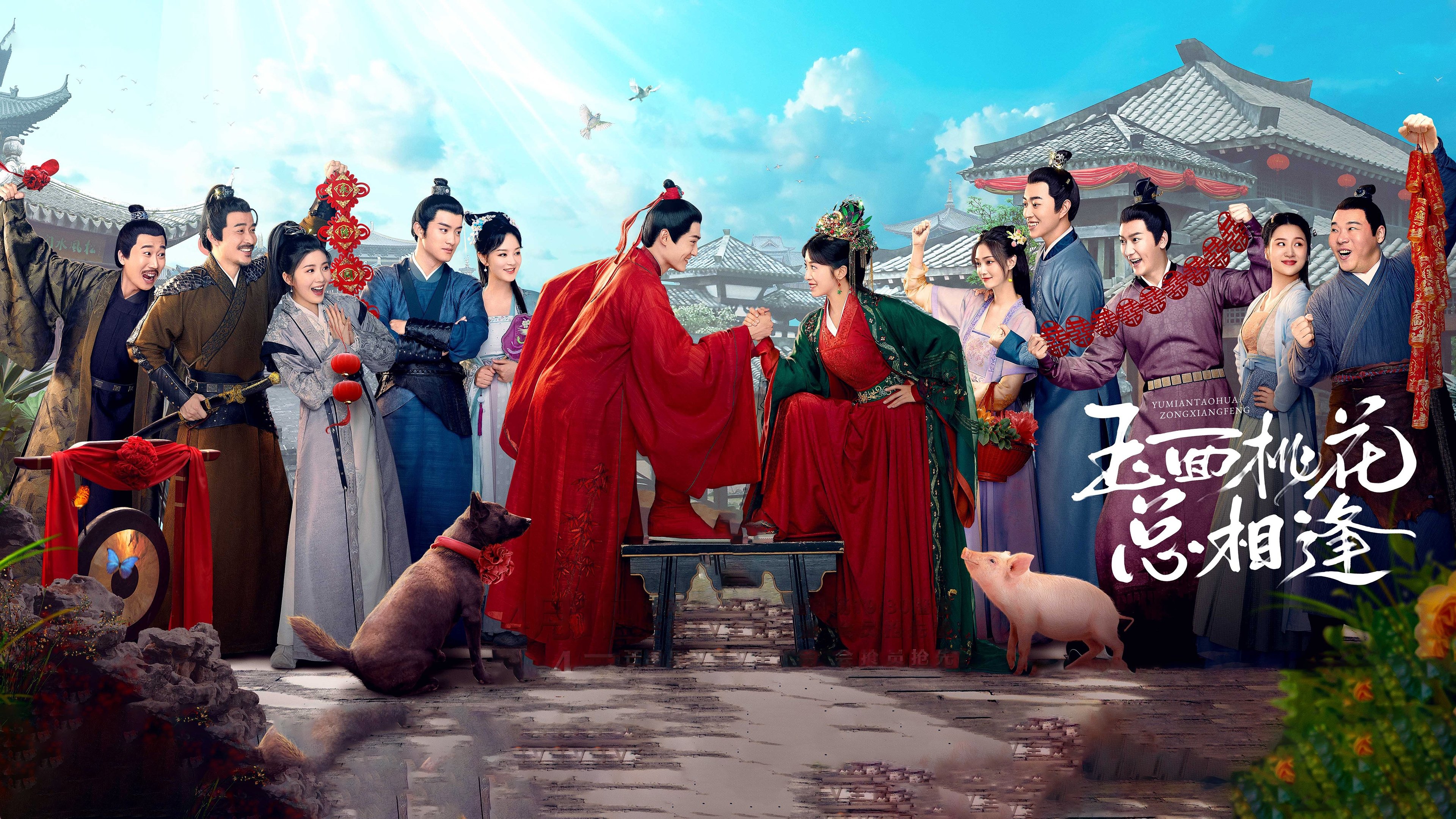 The Lady in Butcher’s House Background