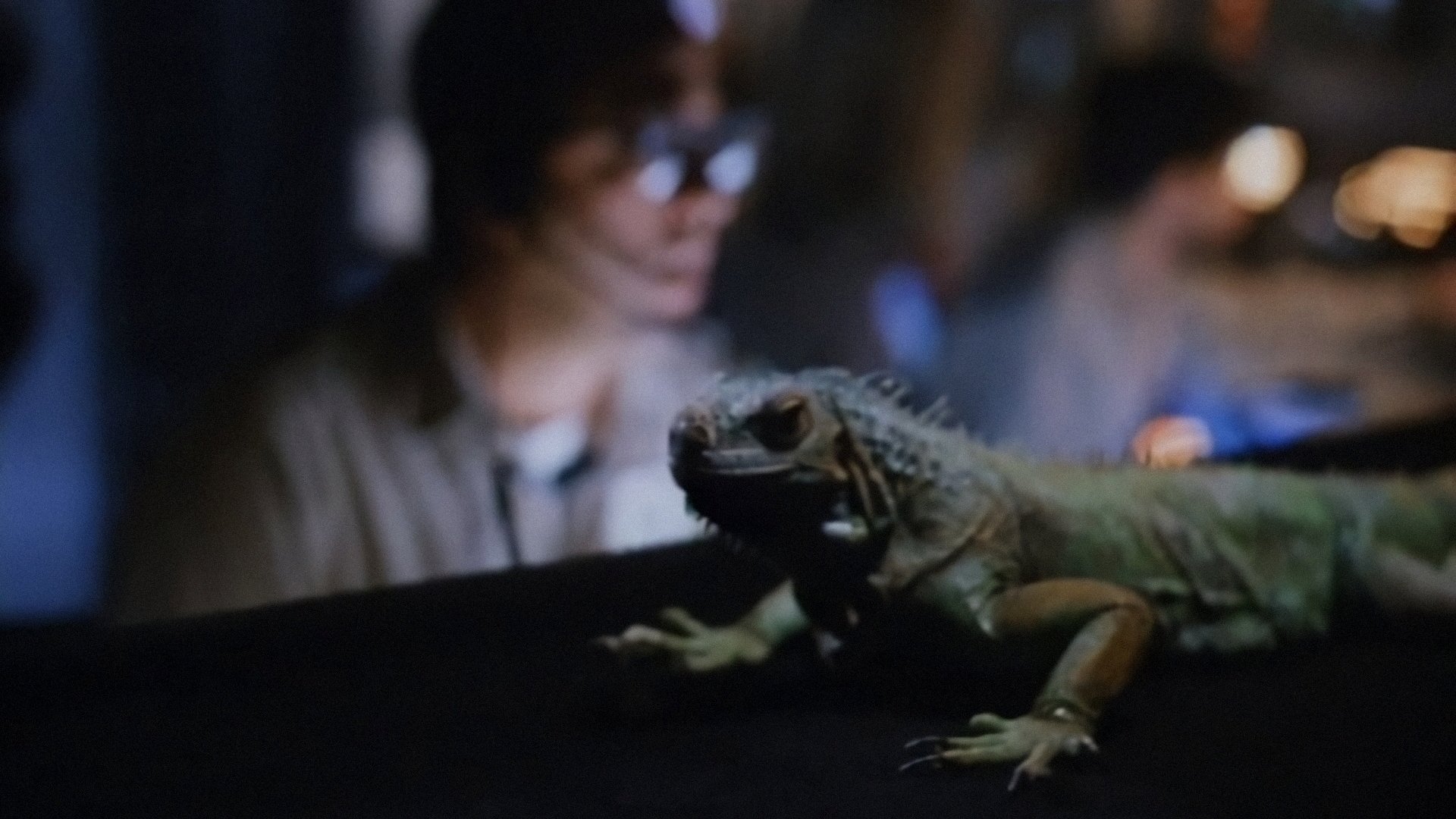 Carnosaur 2 Background