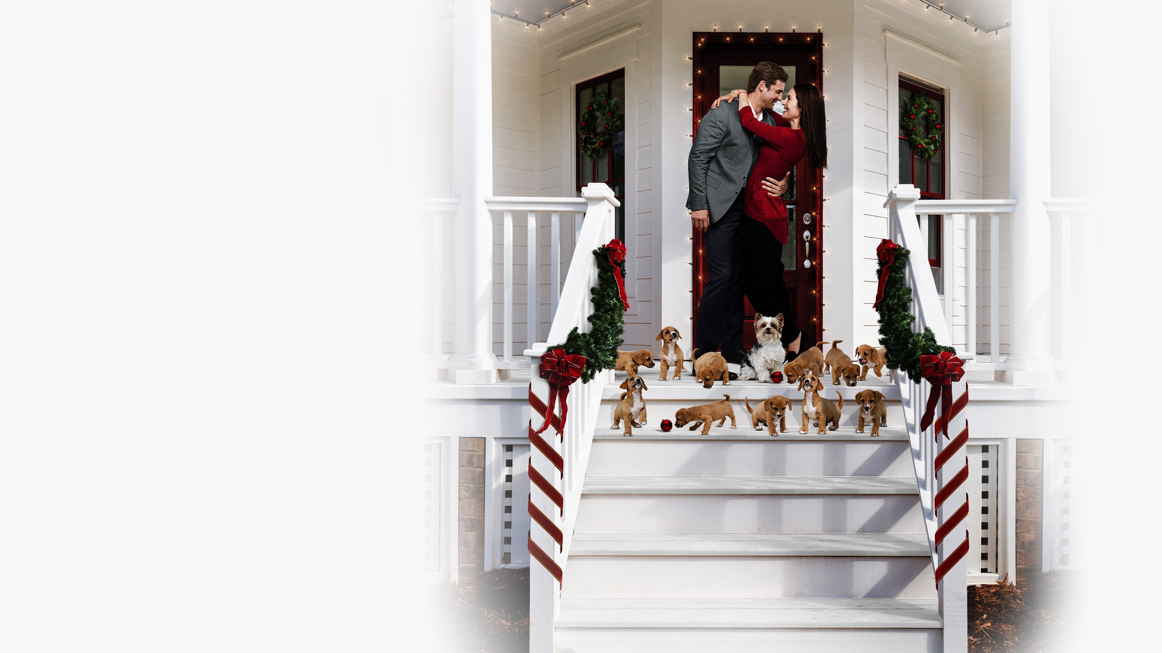 12 Pups of Christmas Background