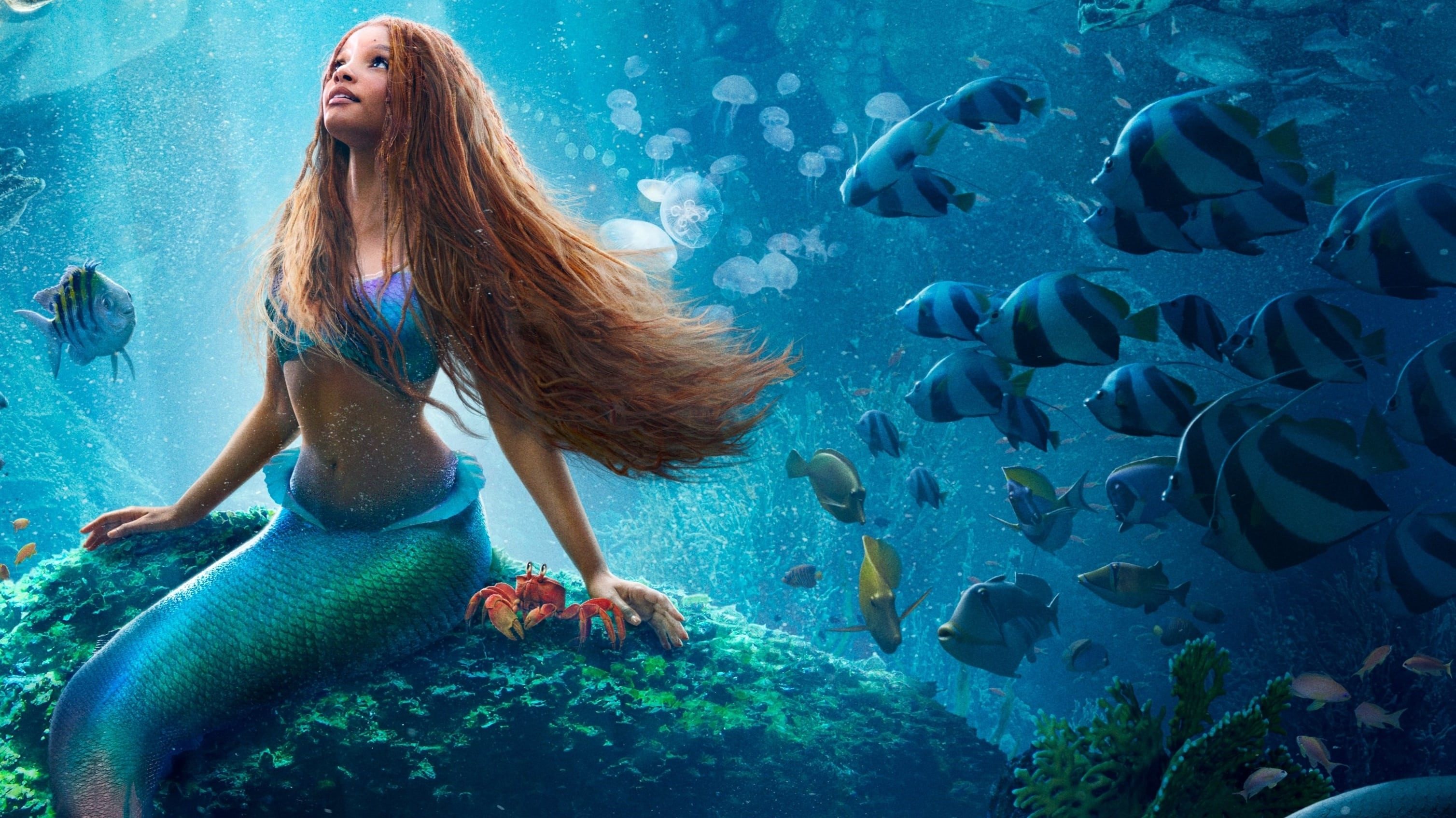 The Little Mermaid Background