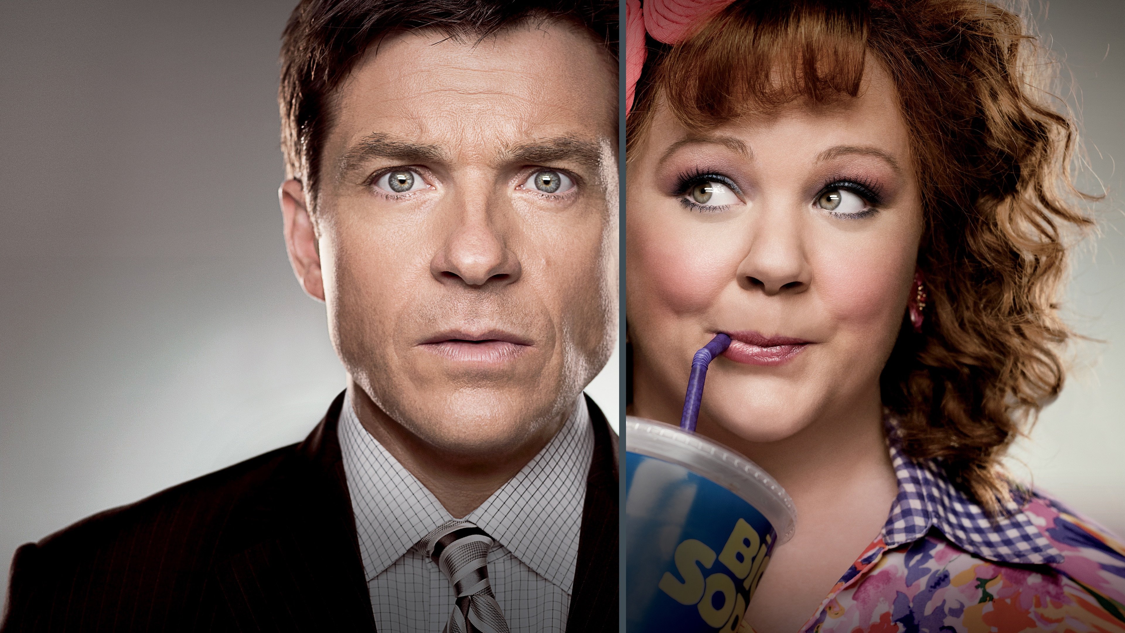 Identity Thief Background