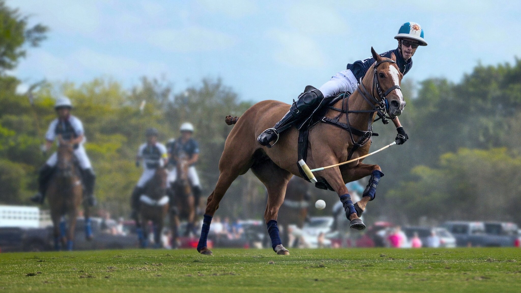 Polo Background