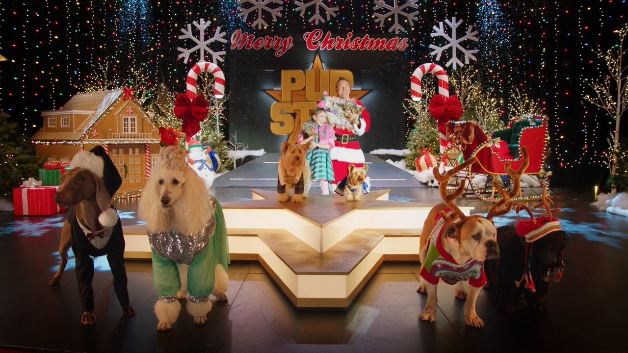 Puppy Star Christmas Background