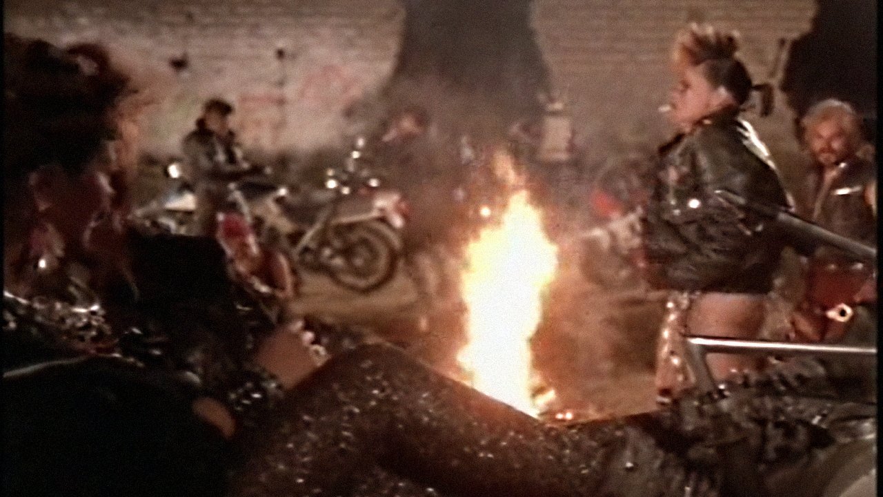 La venganza de los punks Background