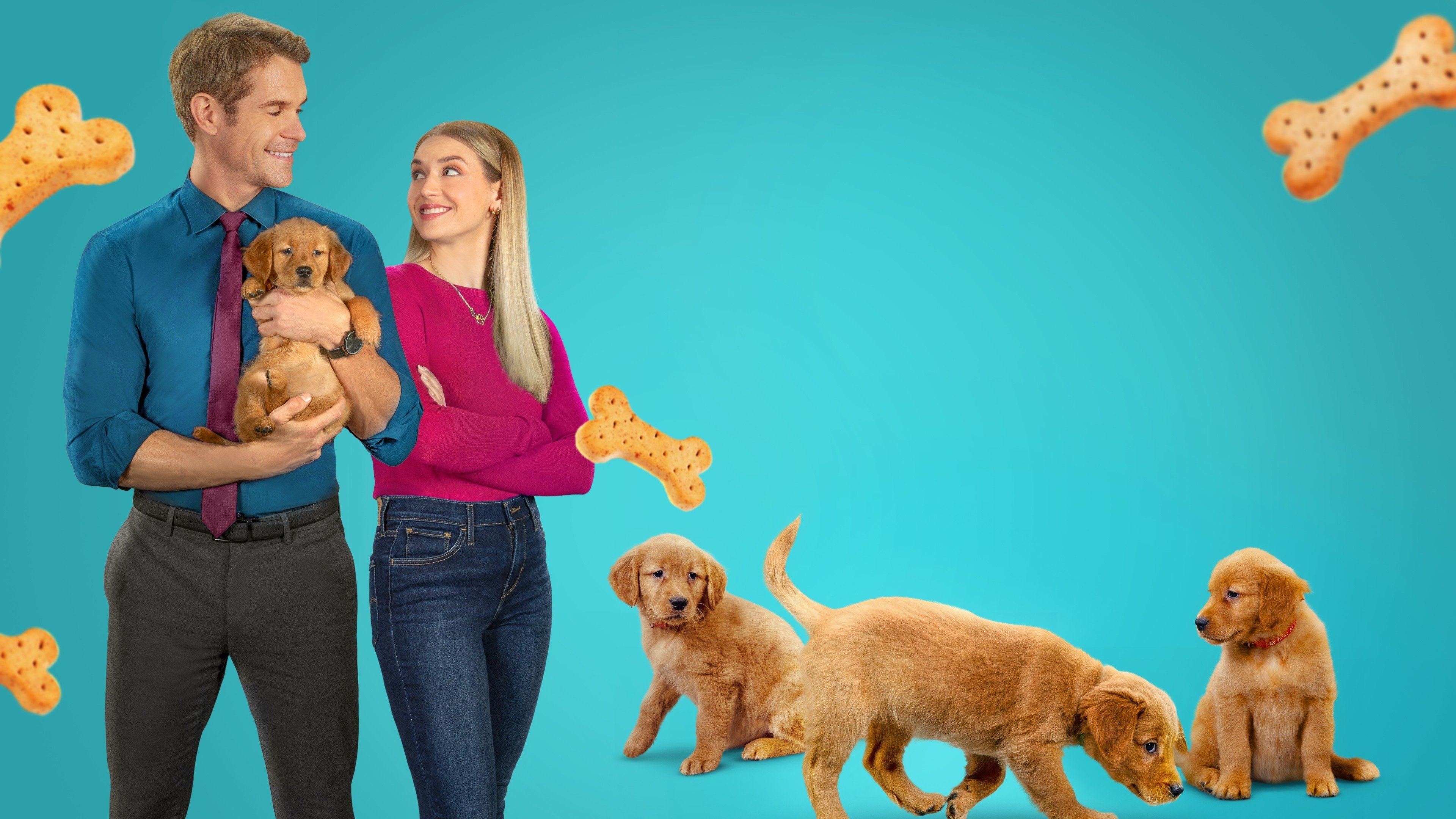 Everything Puppies Background