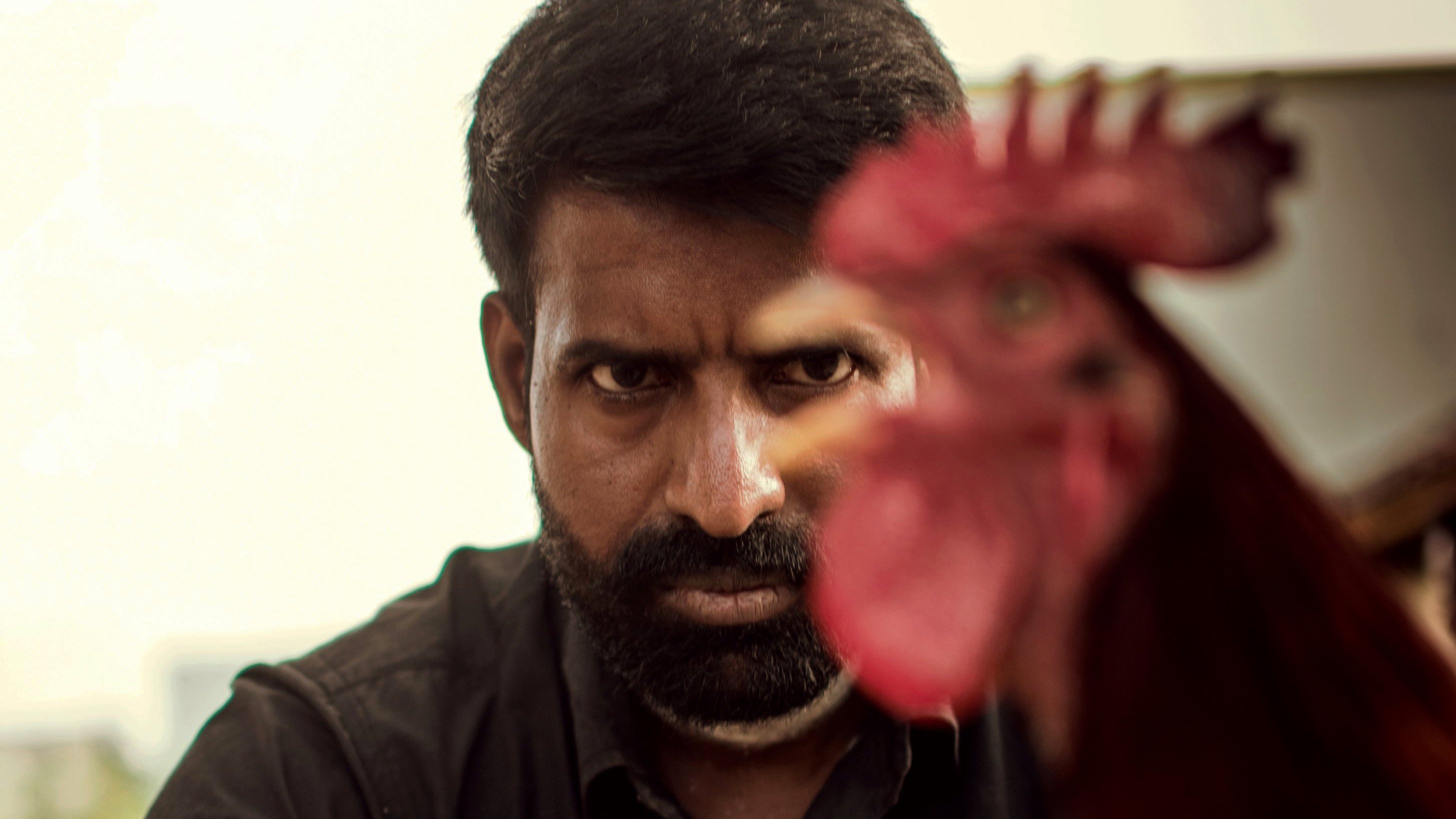 Kottukkaali Background