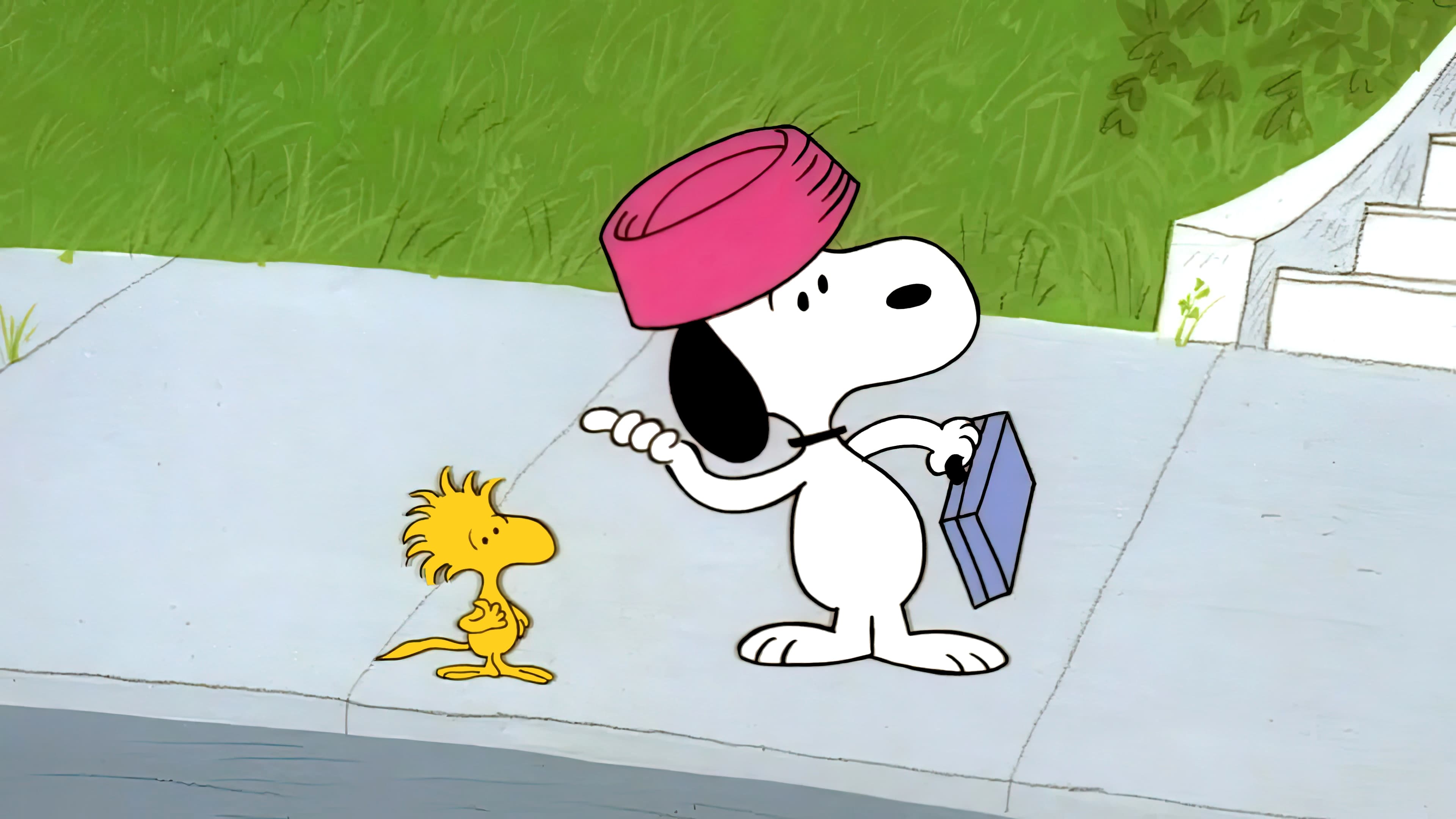 Snoopy, Come Home Background
