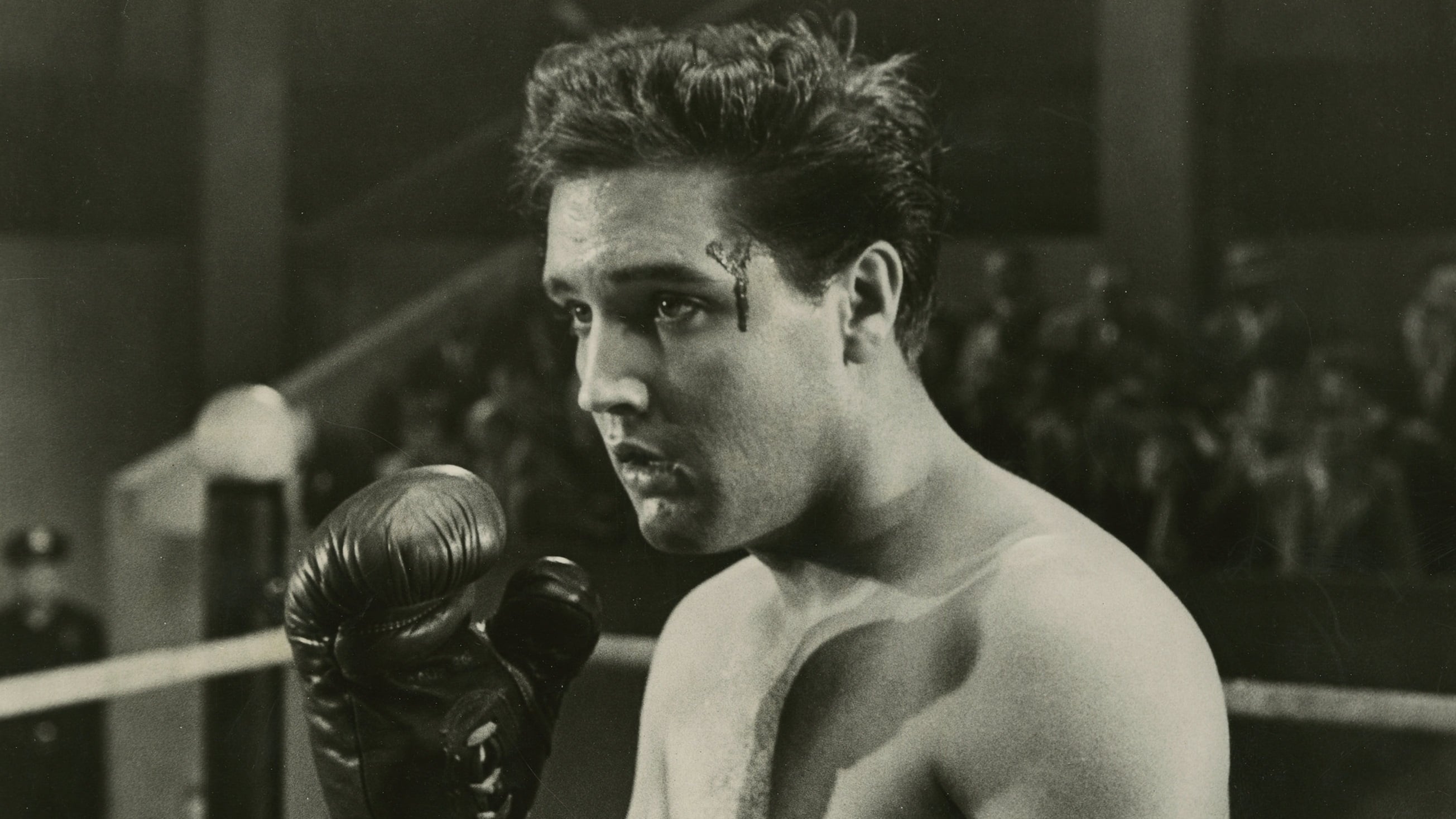 Kid Galahad Background