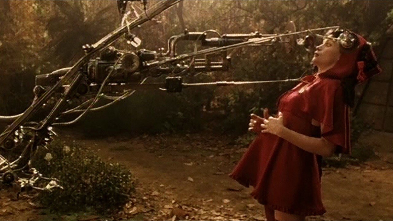 The Last Little Red Riding Hood Background