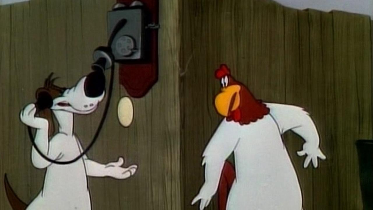 The EGGcited Rooster Background
