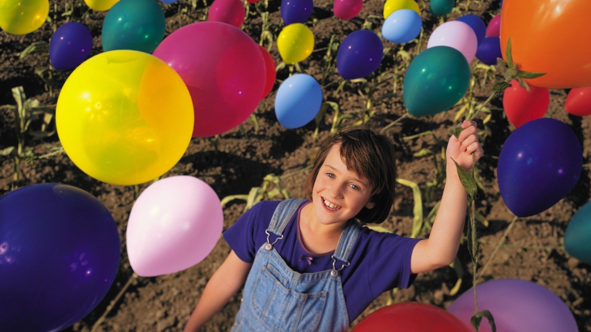 Balloon Farm Background