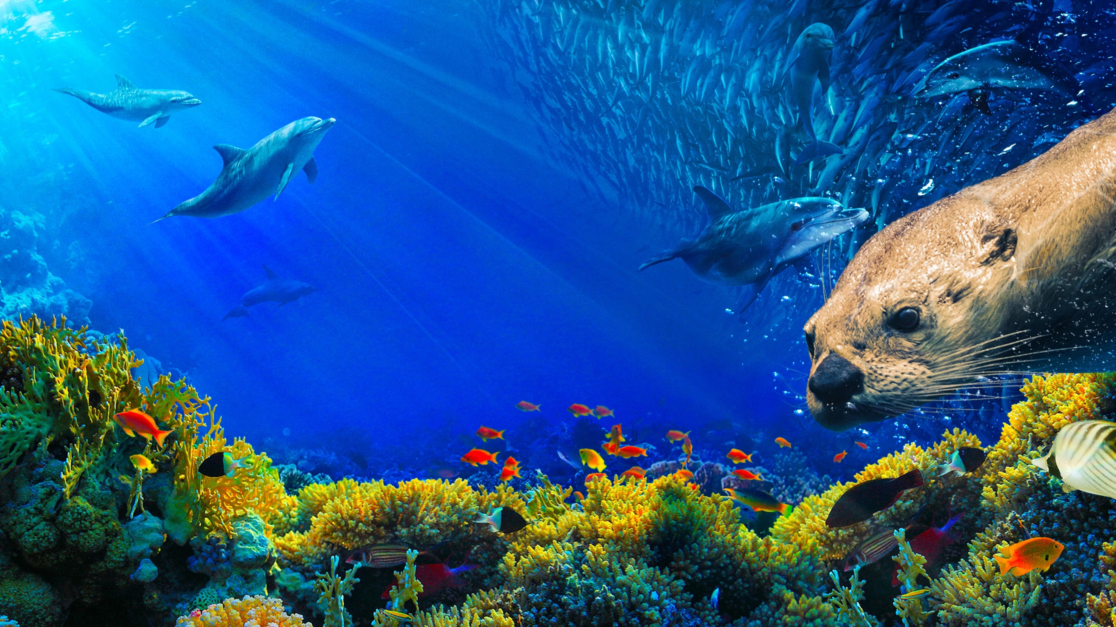 Oceans: Our Blue Planet Background